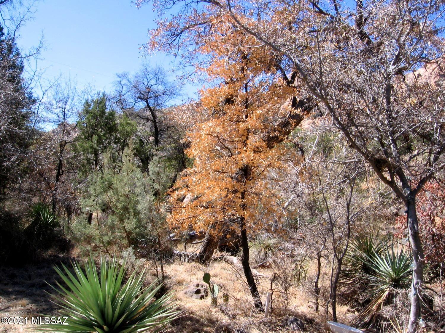 Out Of Pima County - Land