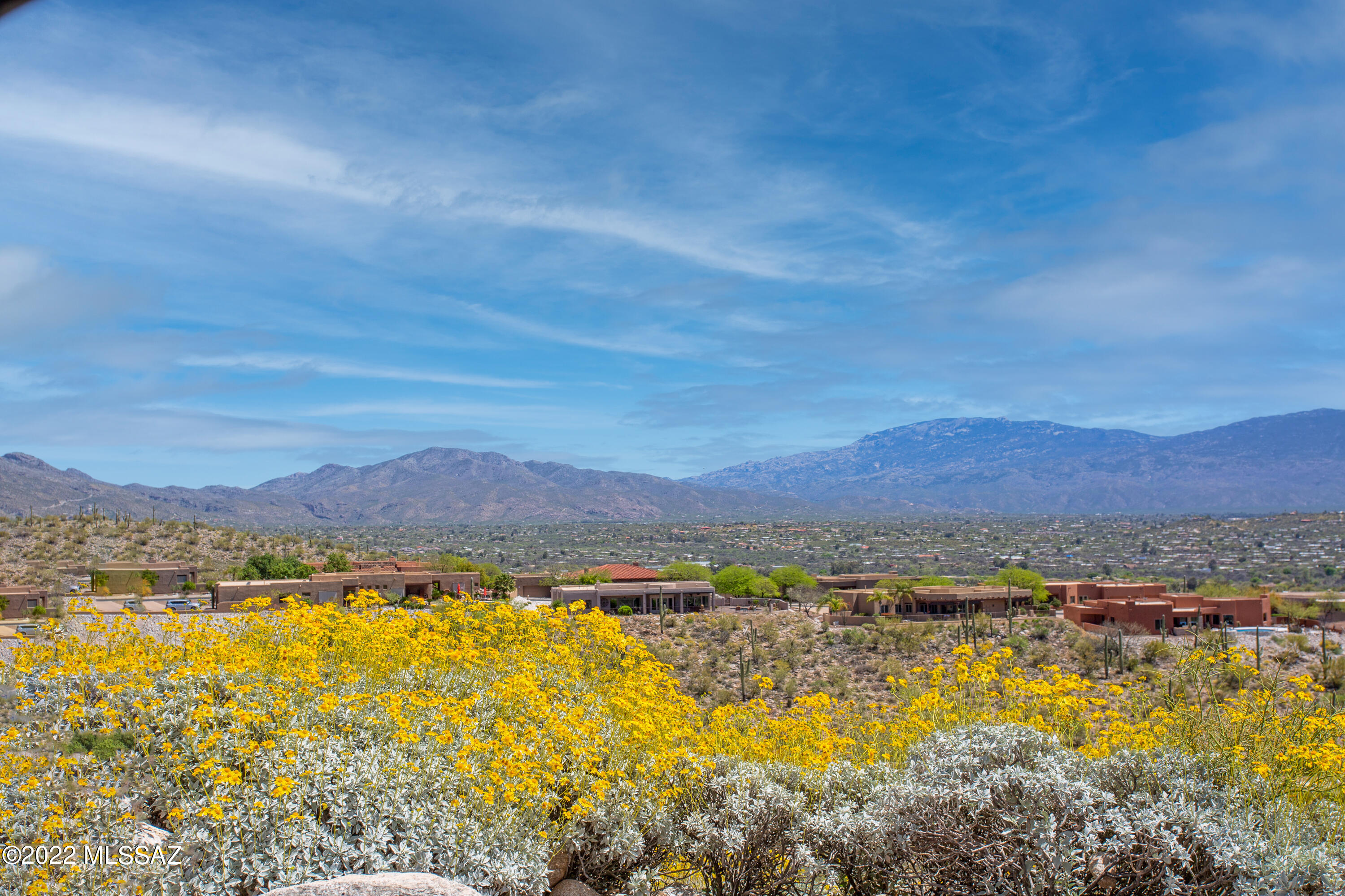 Sabino Mountain (1-290) - Residential
