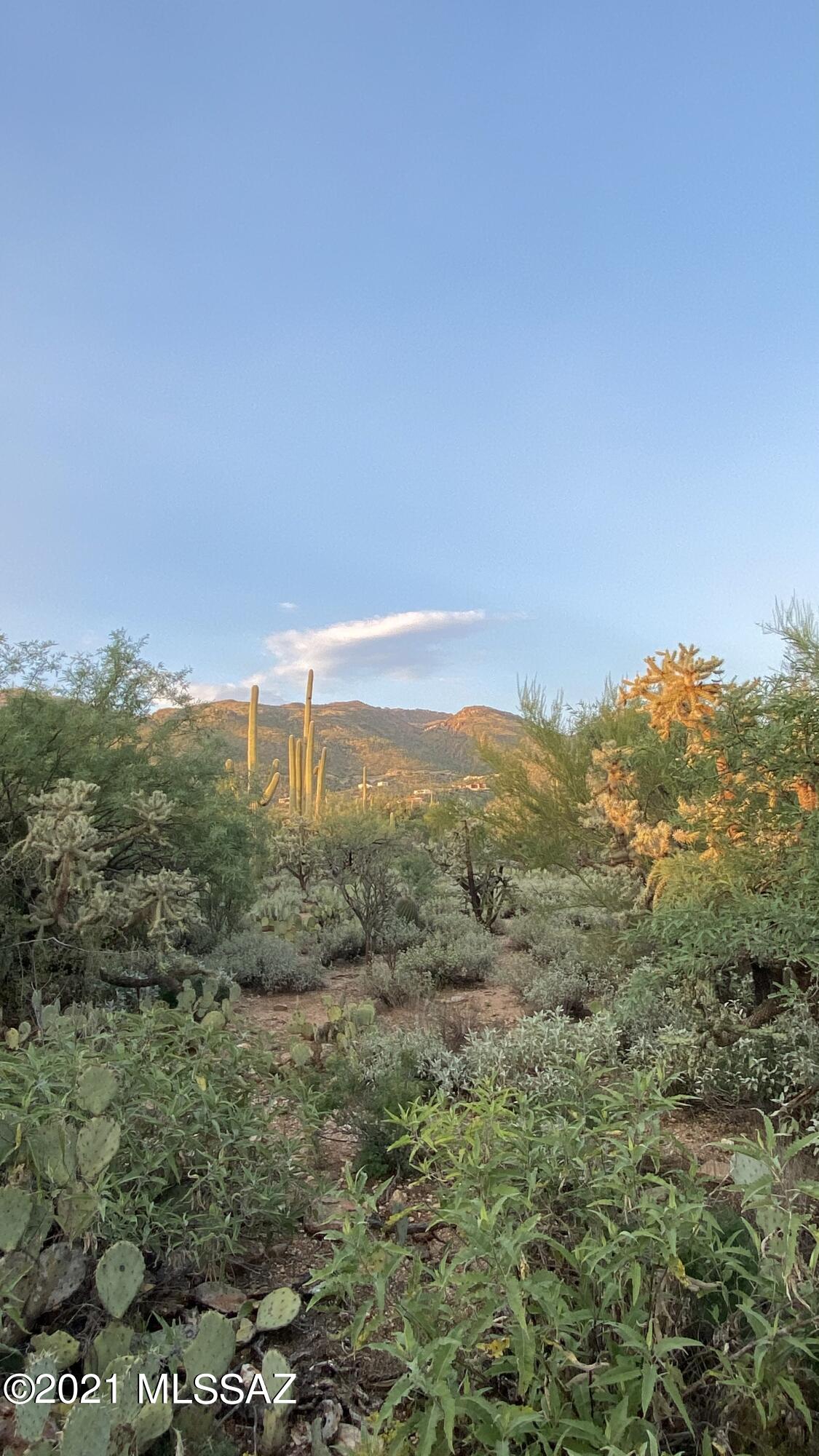 Elin Ranch - Residential