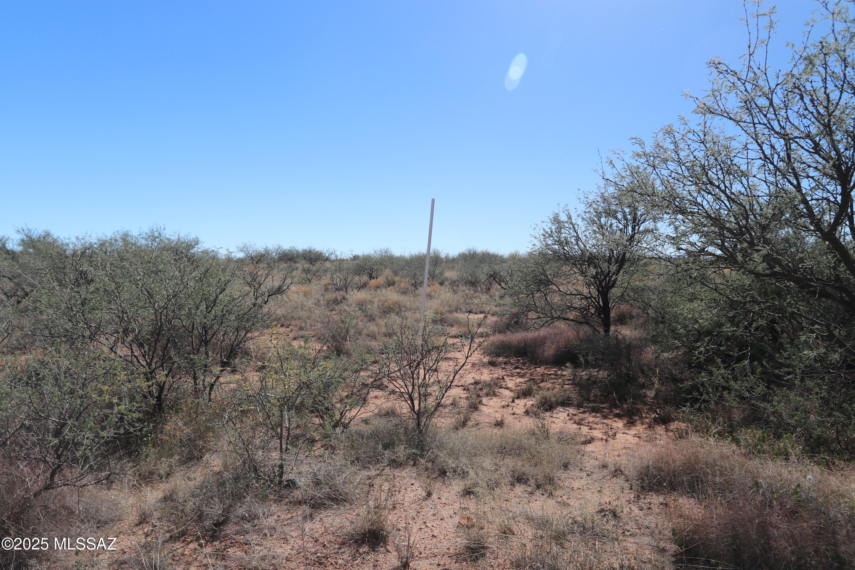 Dragoon Mountain Ranch - Land