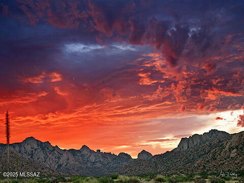 Dragoon Mountain Ranch - Land