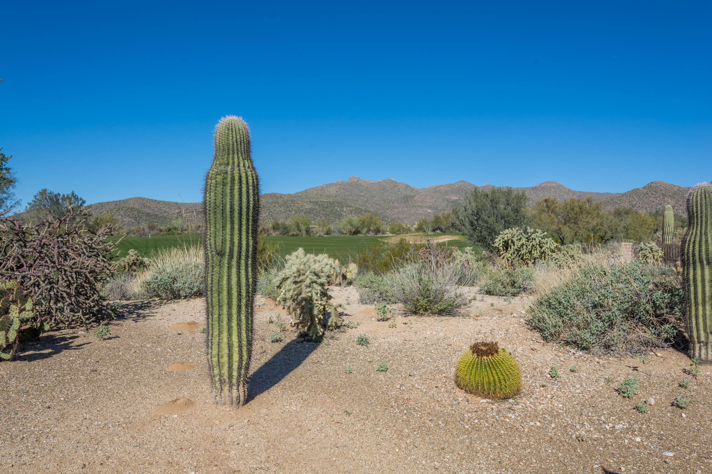 Dos Lagos at Dove Mountain (1-91) - Residential