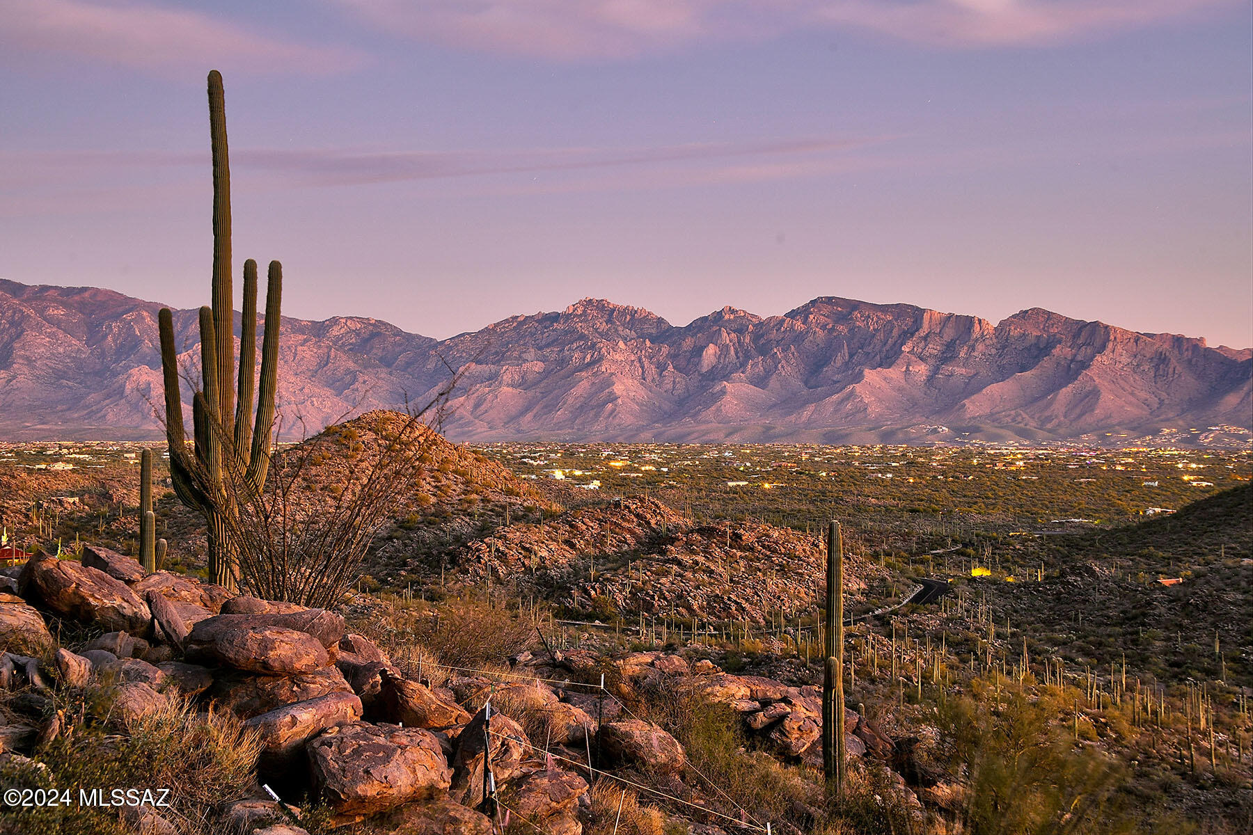 Saguaro Ranch II (L 50-51;53-65) - Land