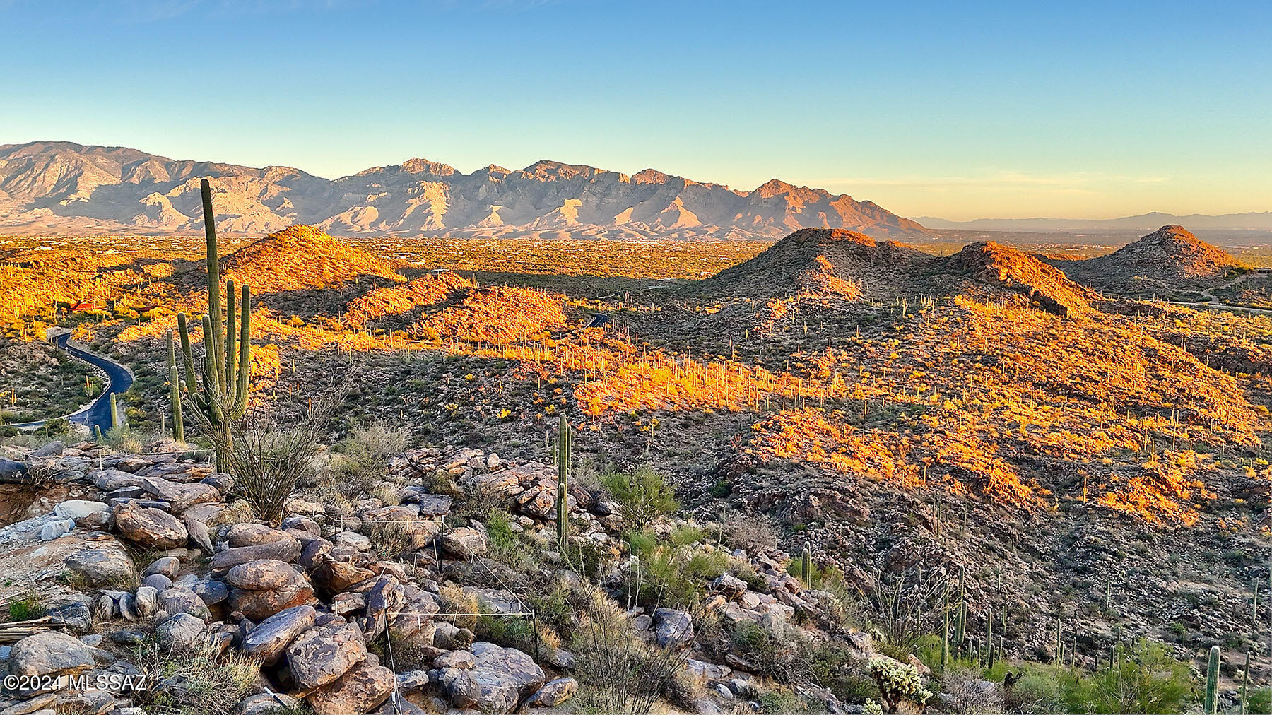 Saguaro Ranch II (L 50-51;53-65) - Land