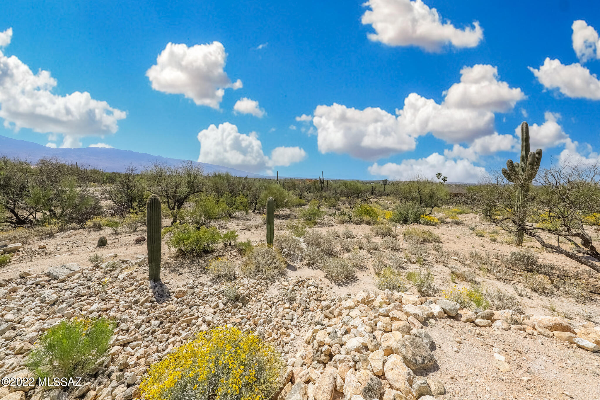 Ranchitos De Los Saguaros (1-21) - Residential