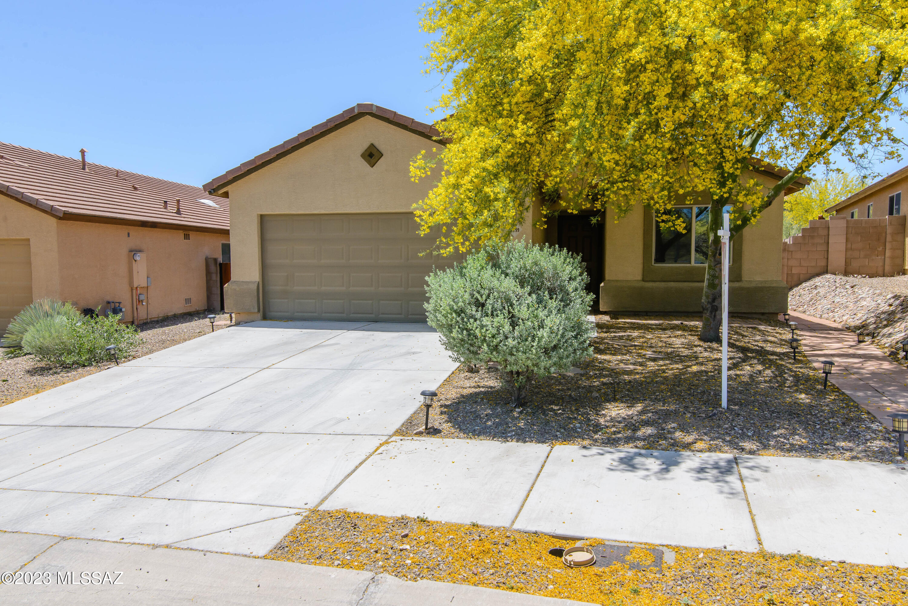 Sonoran Blossom - Residential