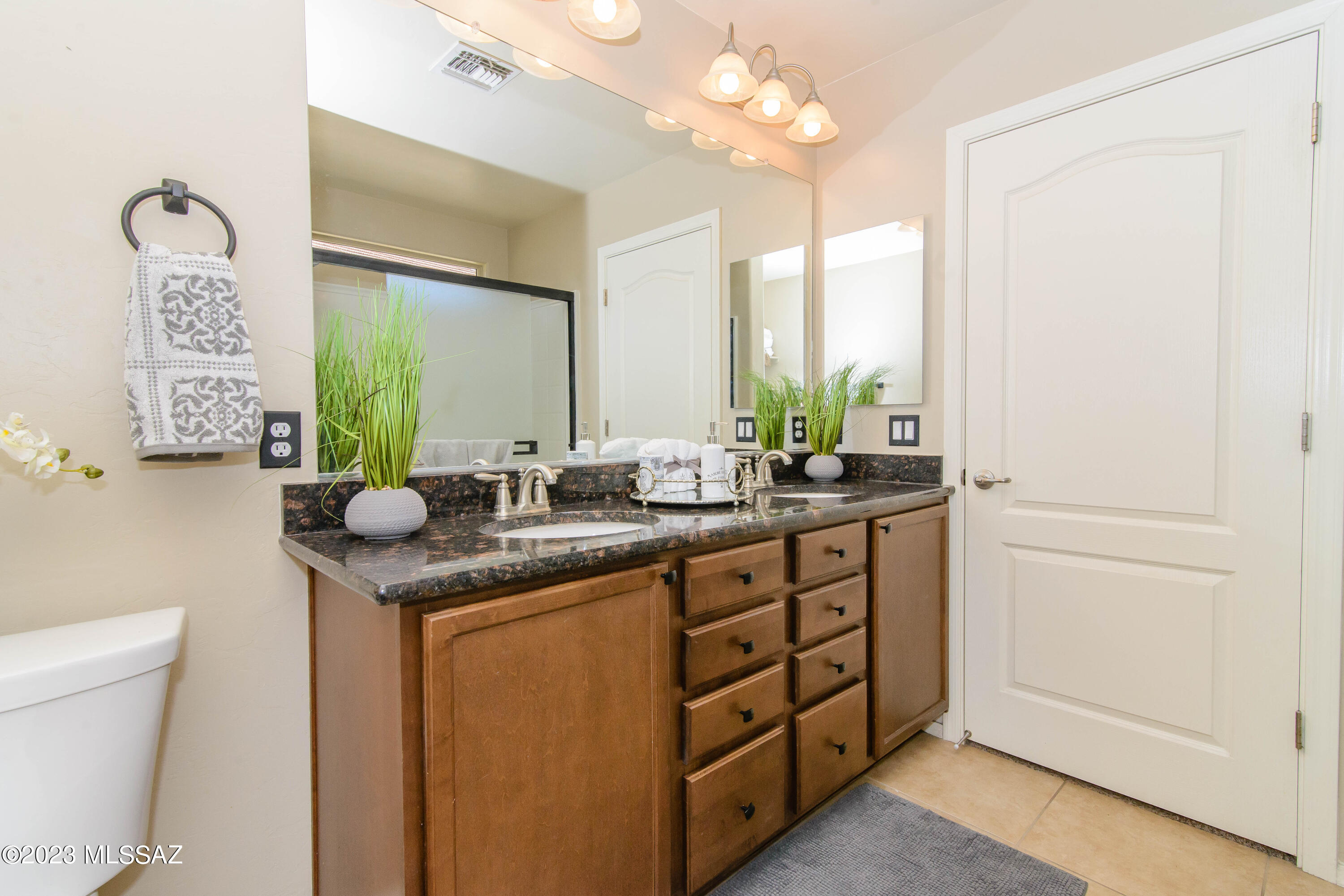 Sonoran Blossom - Residential