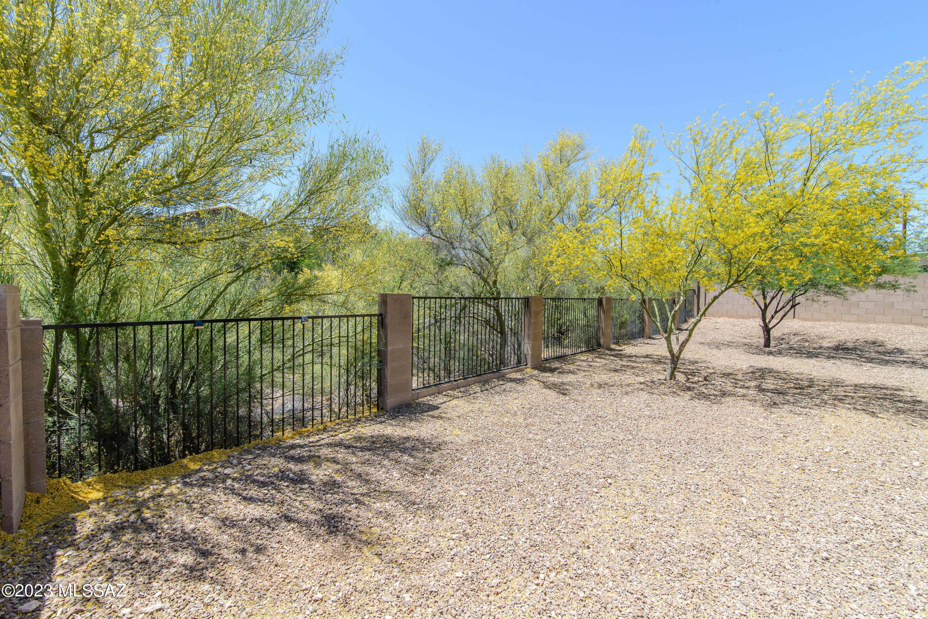 Sonoran Blossom - Residential