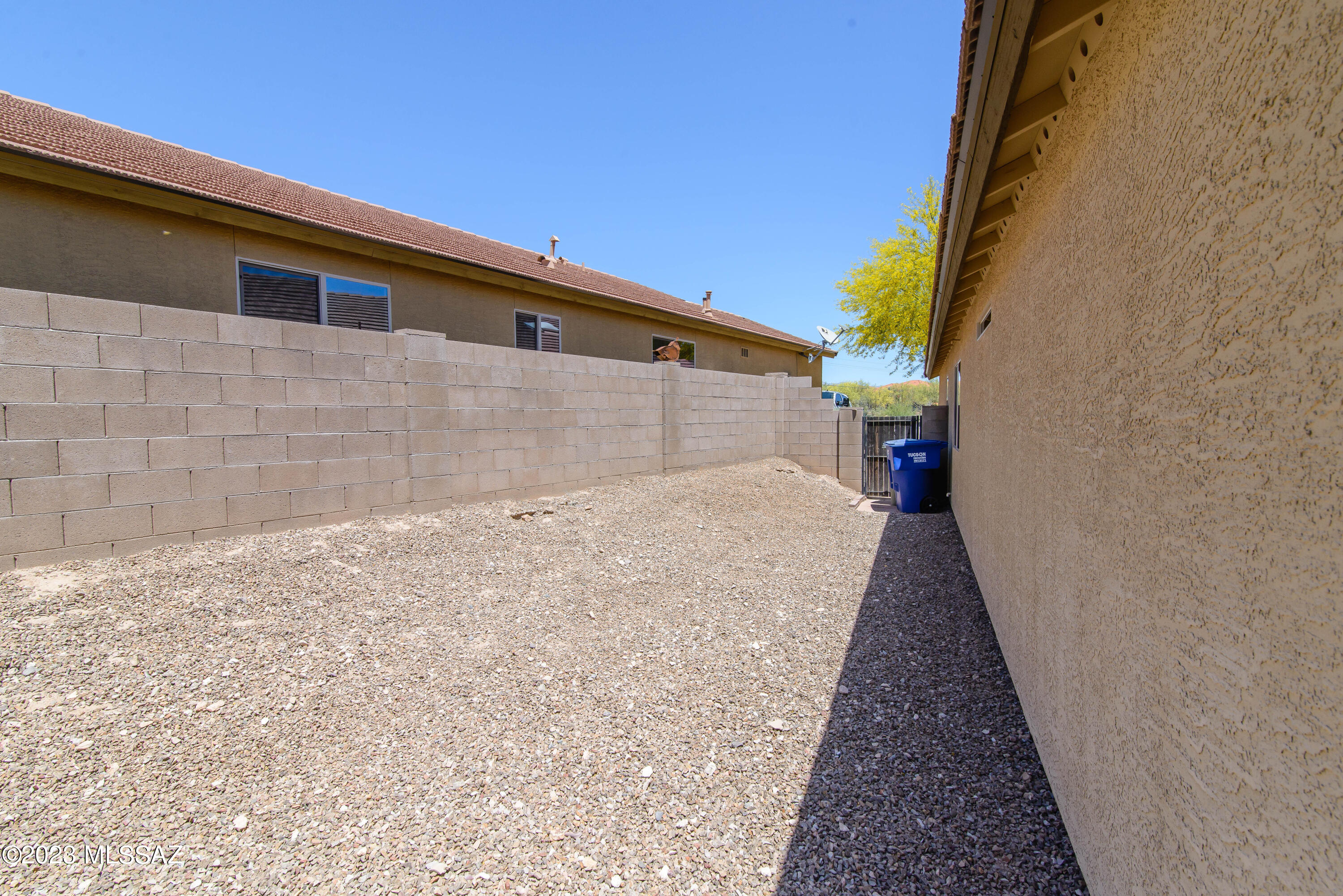 Sonoran Blossom - Residential