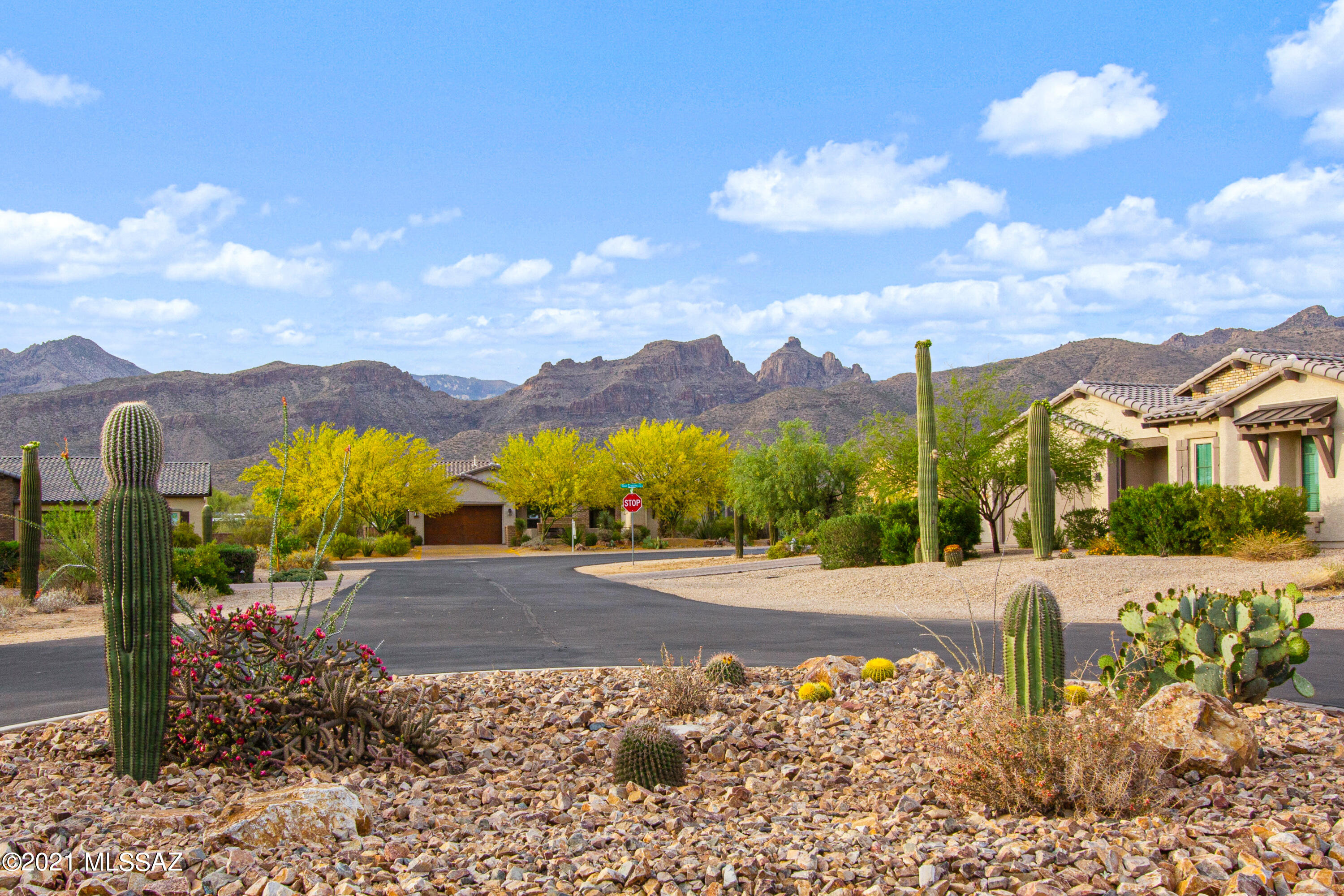 Ranches At Santa Catalina - Residential