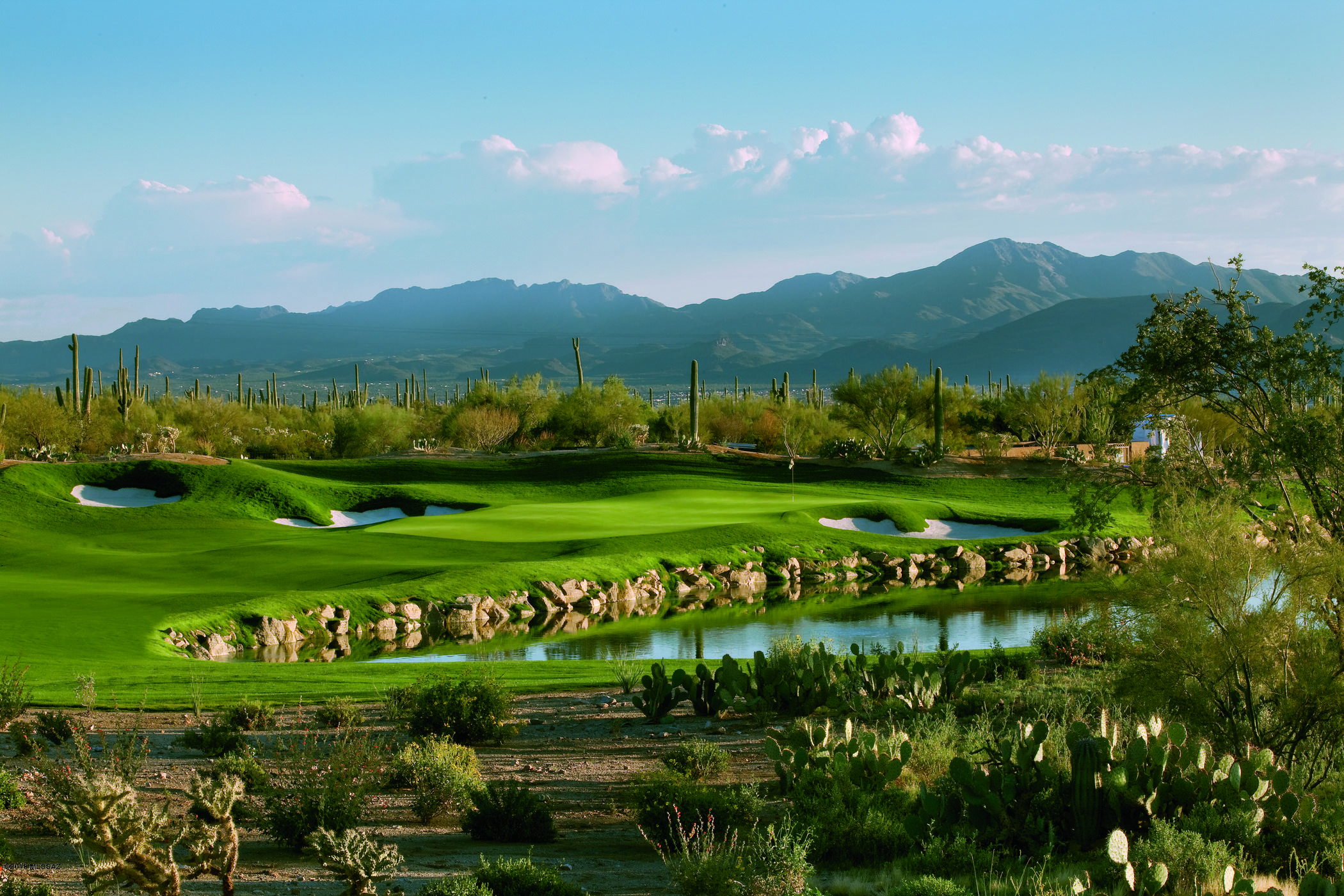 Dove Mountain Resort (1-153) - Residential