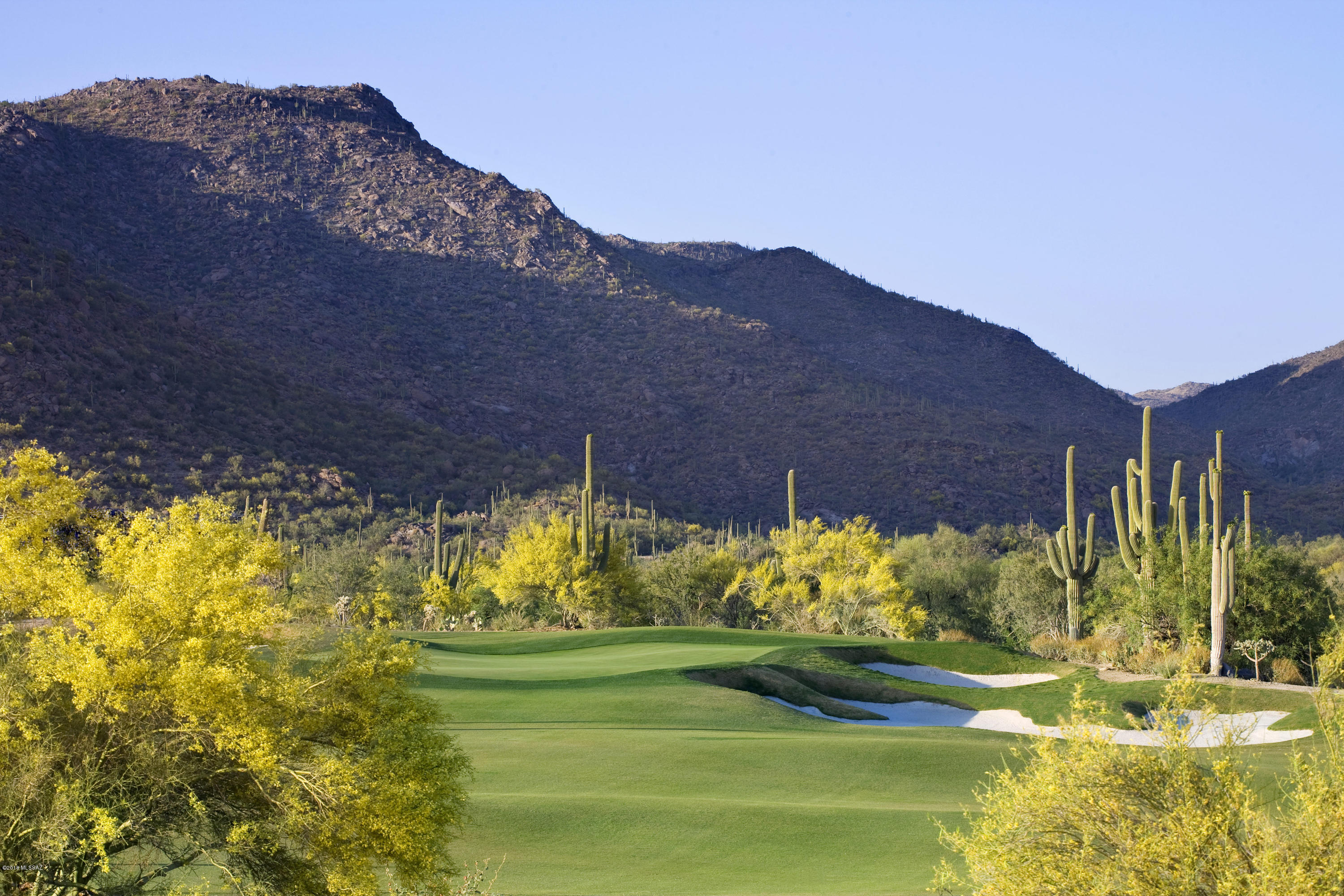 Dove Mountain Resort (1-153) - Residential