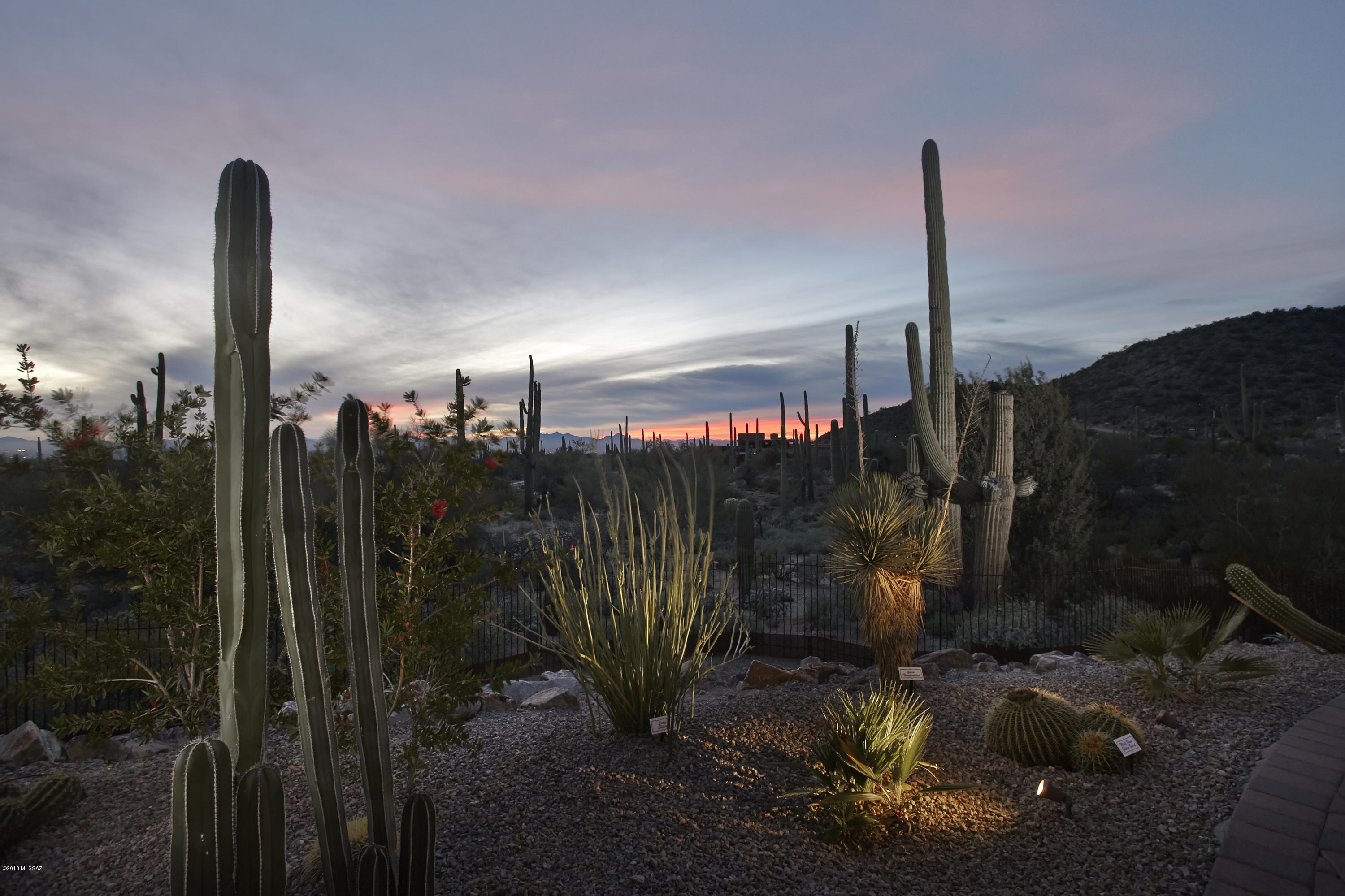 Dove Mountain Resort (1-153) - Residential