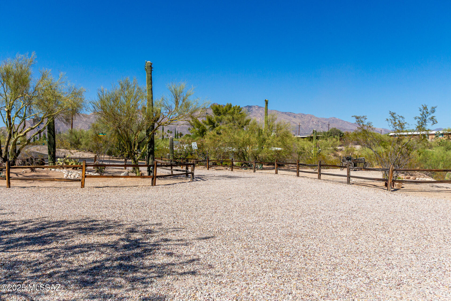 895 W Roller Coaster Road