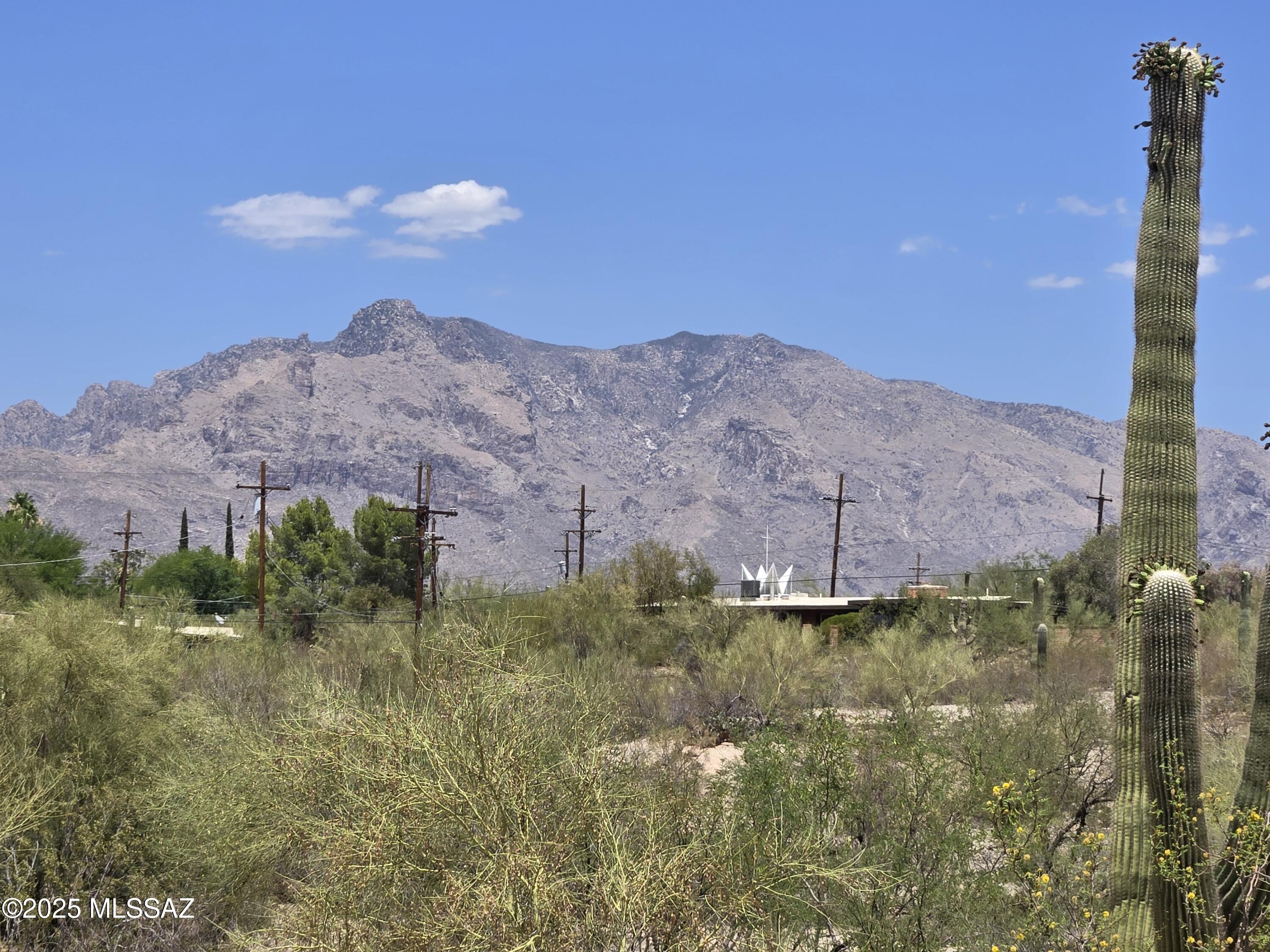895 W Roller Coaster Road