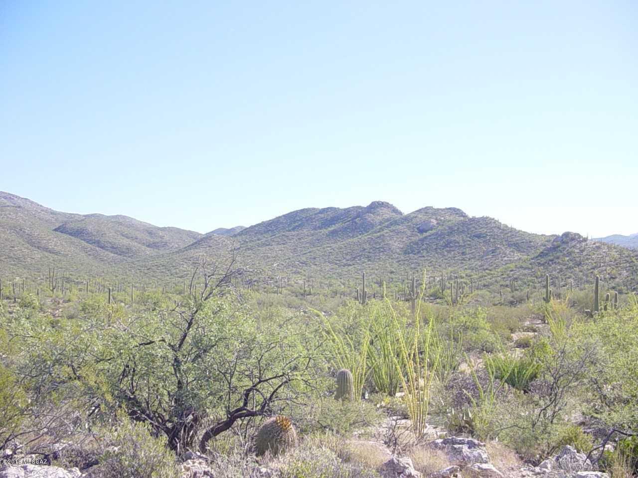 La Cebadilla Estates (1-161) - Land