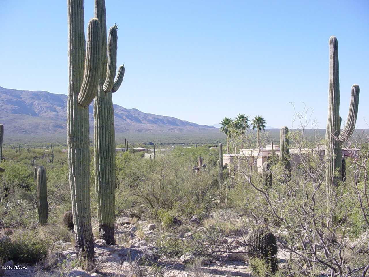 La Cebadilla Estates (1-161) - Land