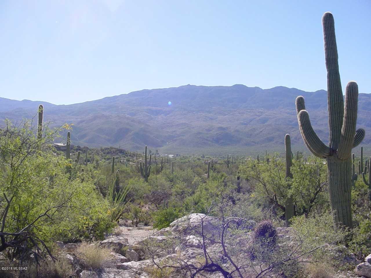 La Cebadilla Estates (1-161) - Land