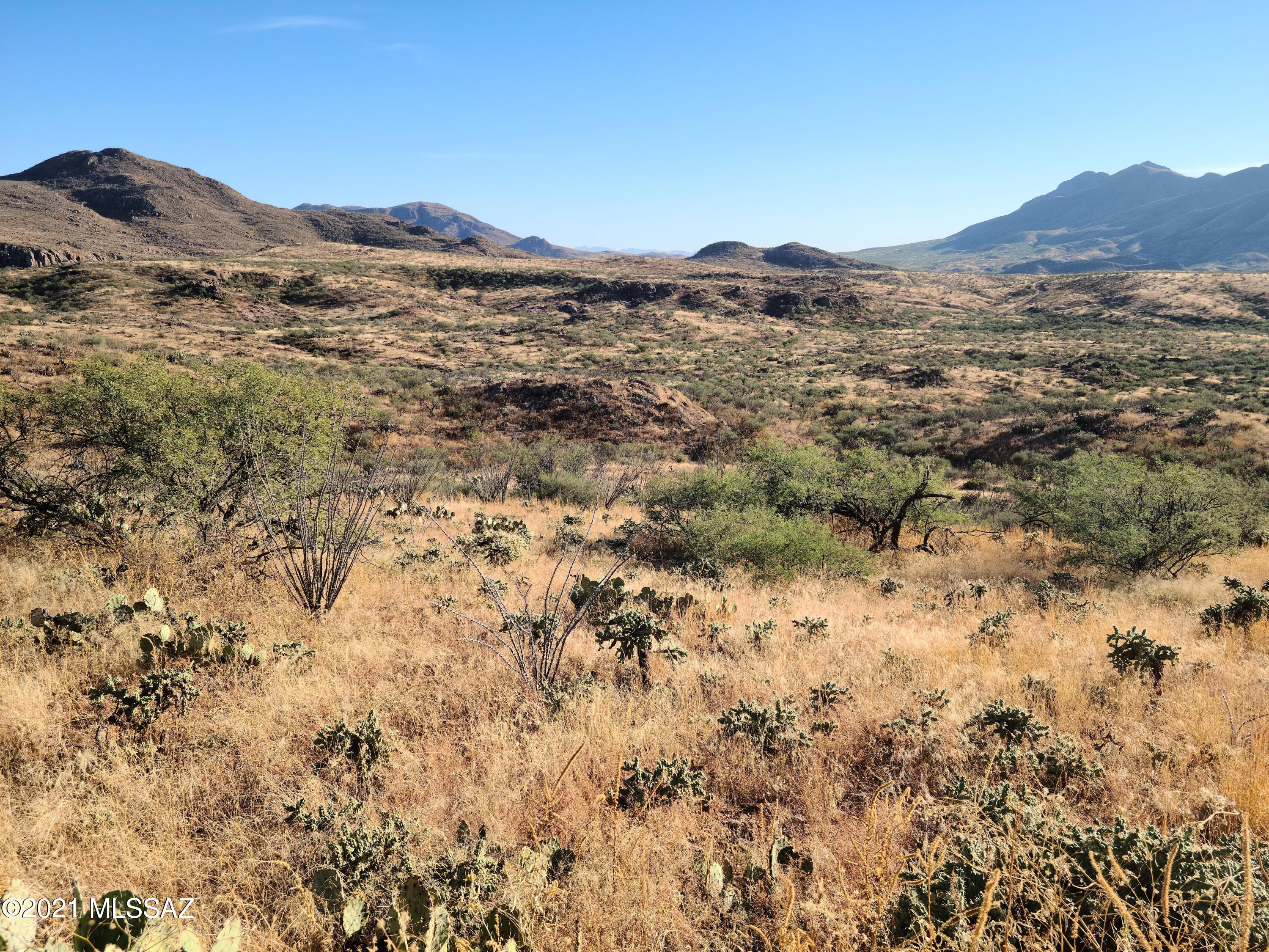 Tubac Foothills Ranch - Land