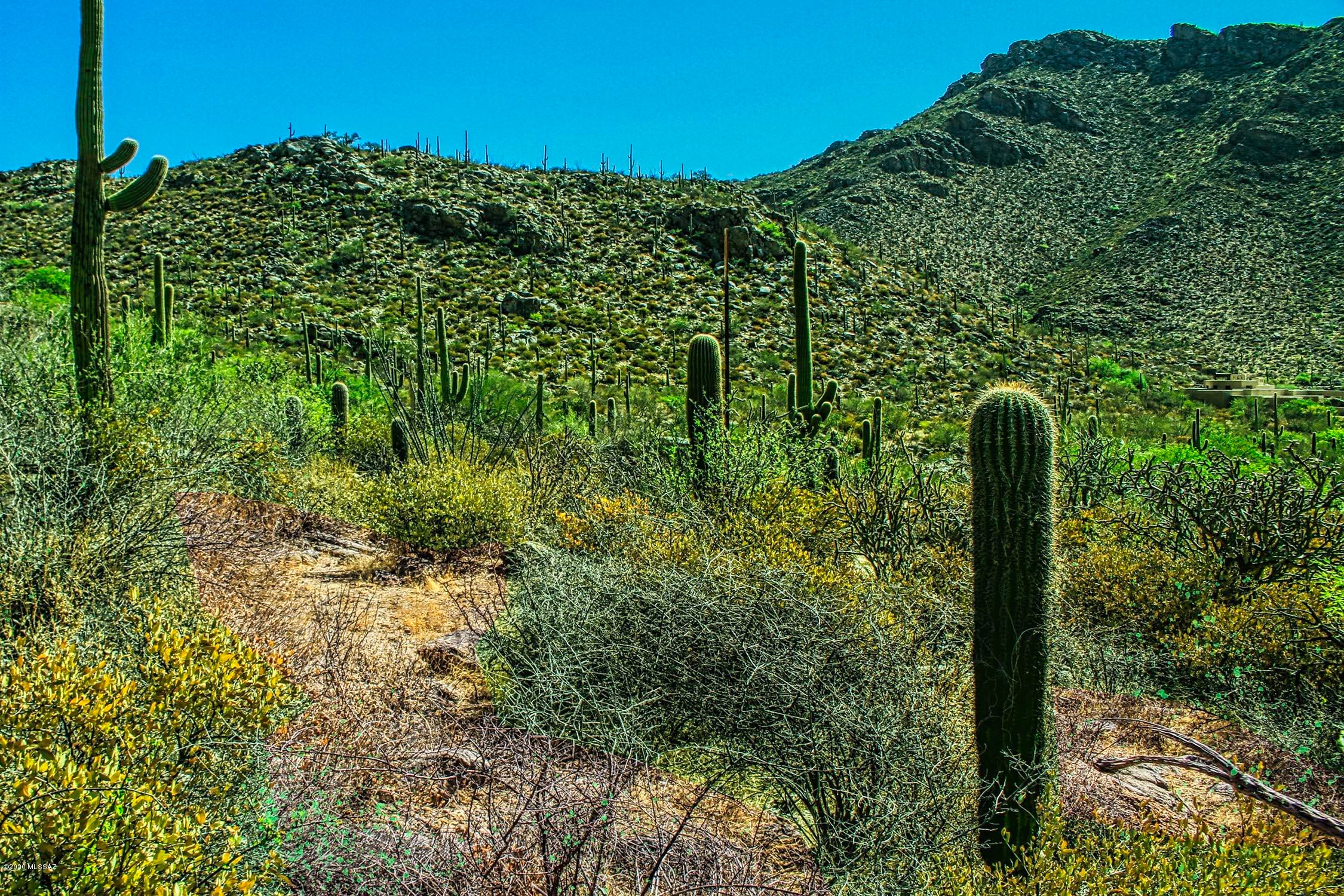 Canyon Pass II At Dove Mountain (49-110) - Land