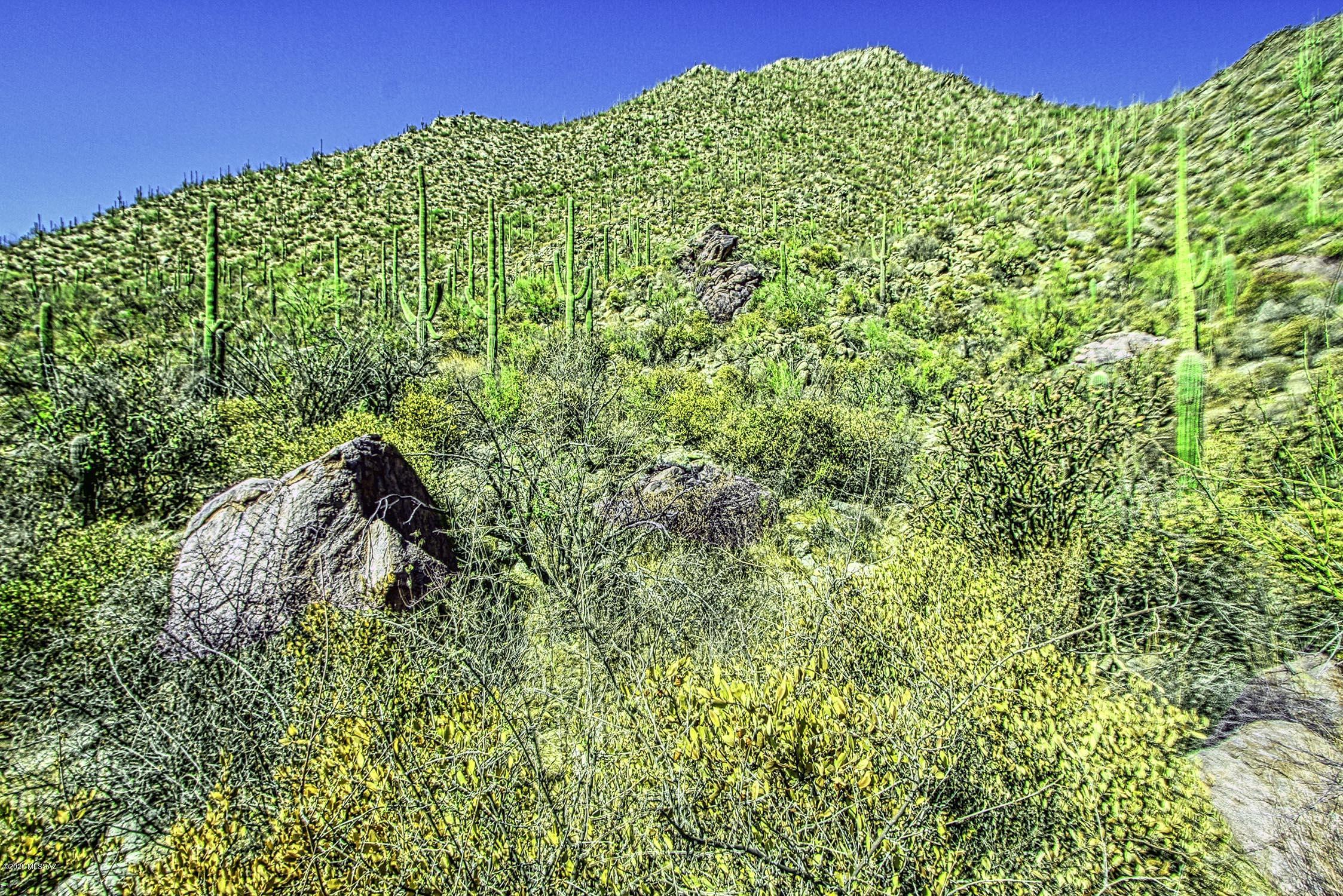 Canyon Pass II At Dove Mountain (49-110) - Land