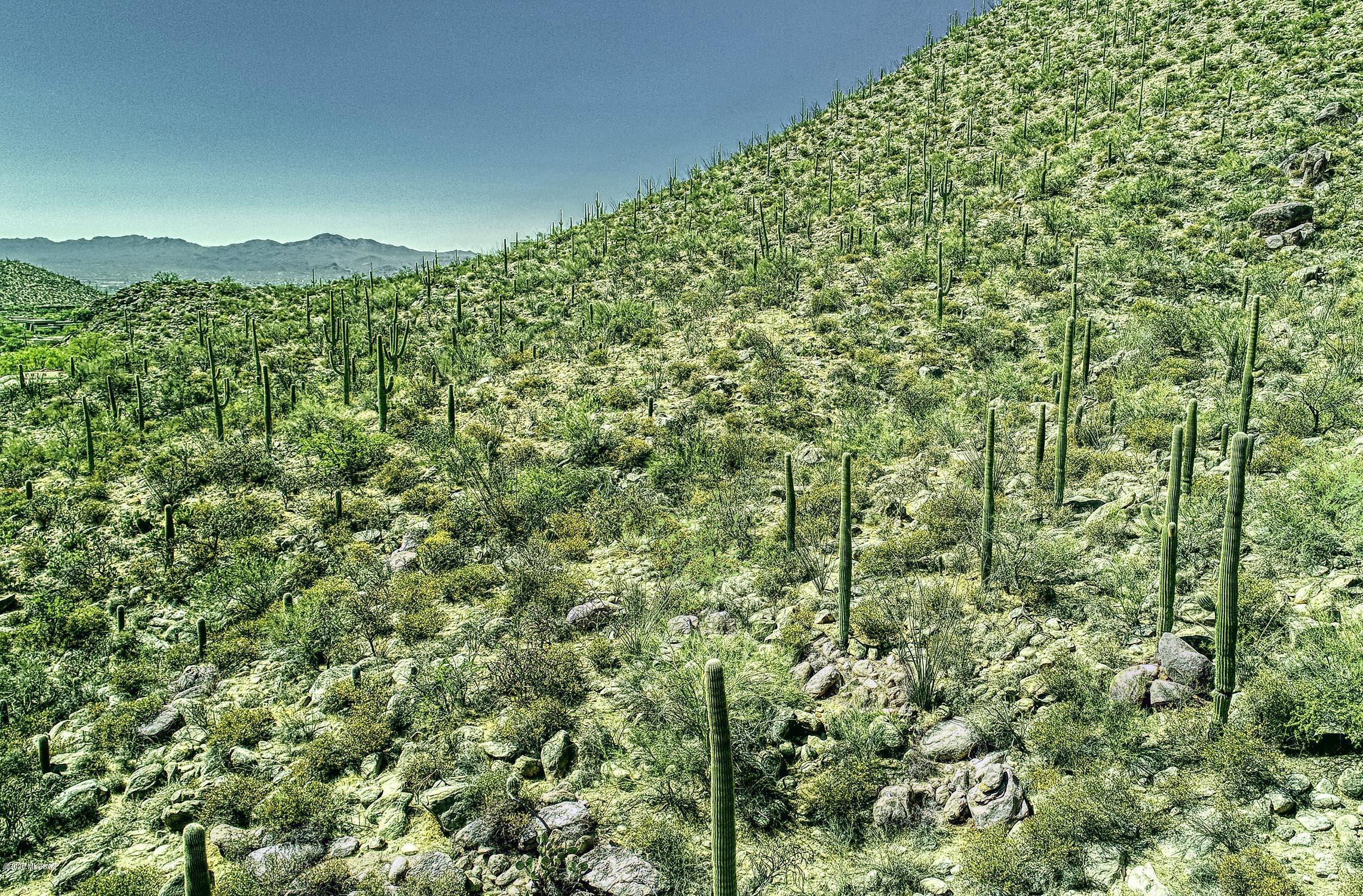 Canyon Pass II At Dove Mountain (49-110) - Land