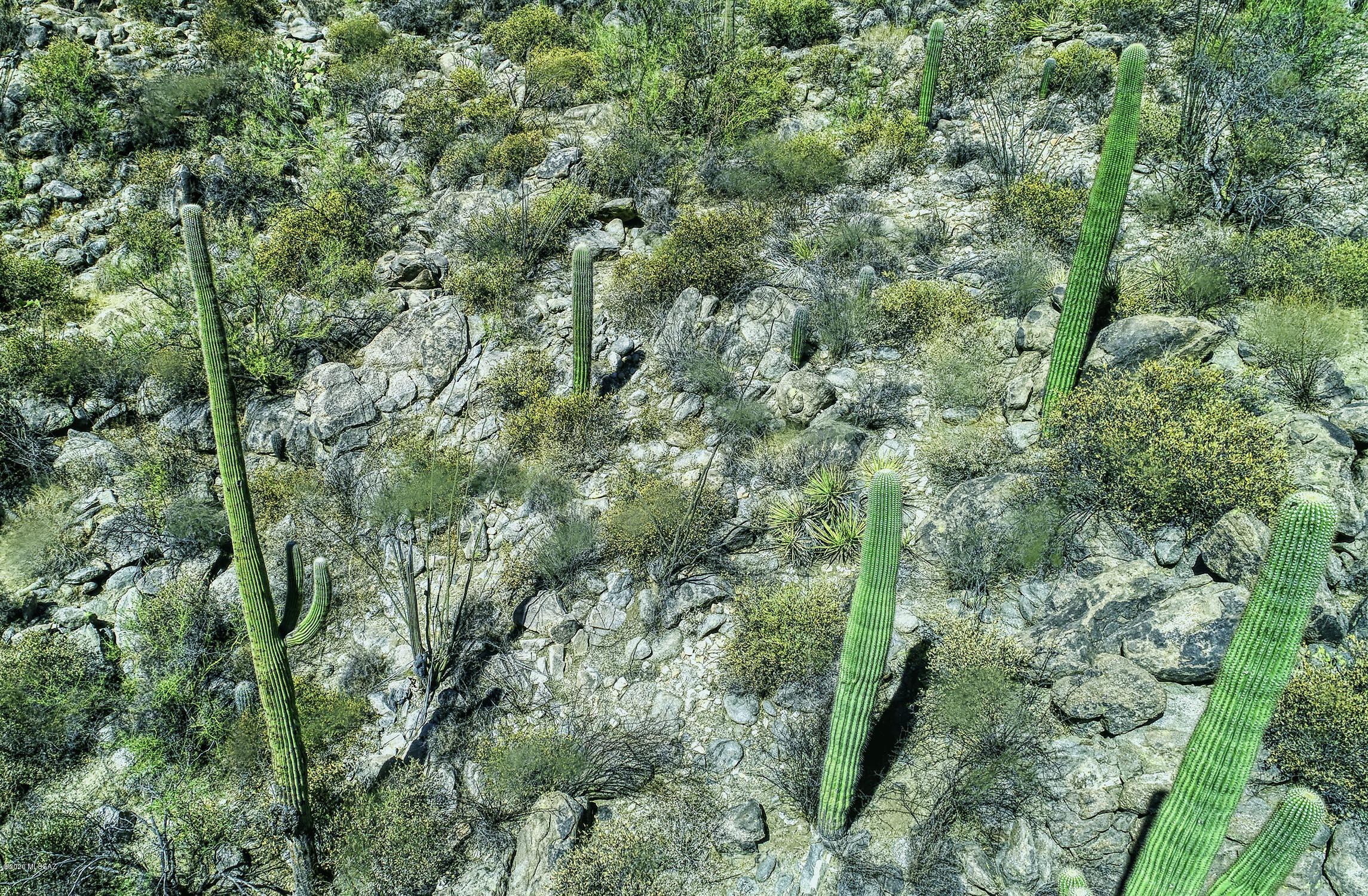 Canyon Pass II At Dove Mountain (49-110) - Land
