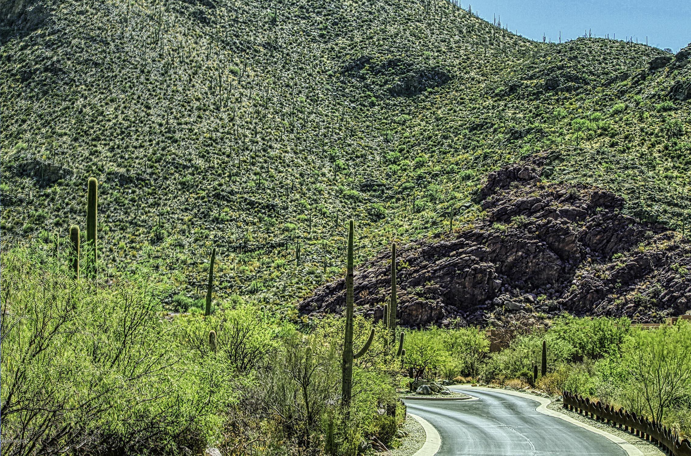 Canyon Pass II At Dove Mountain (49-110) - Land