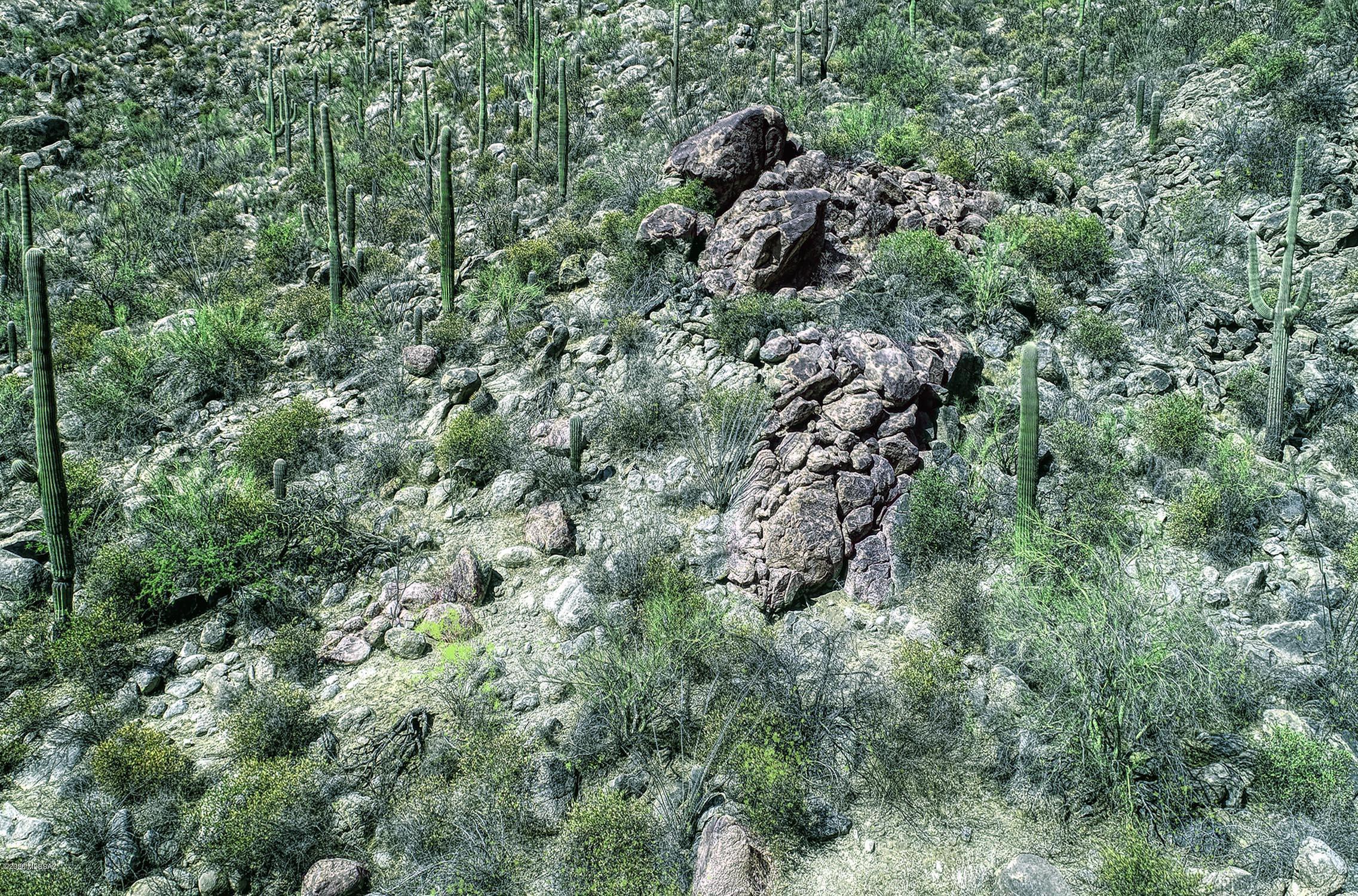 Canyon Pass II At Dove Mountain (49-110) - Land