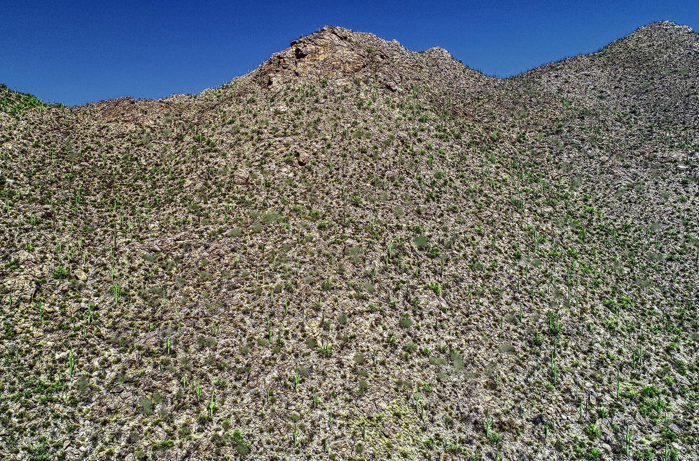 Canyon Pass II At Dove Mountain (49-110) - Land