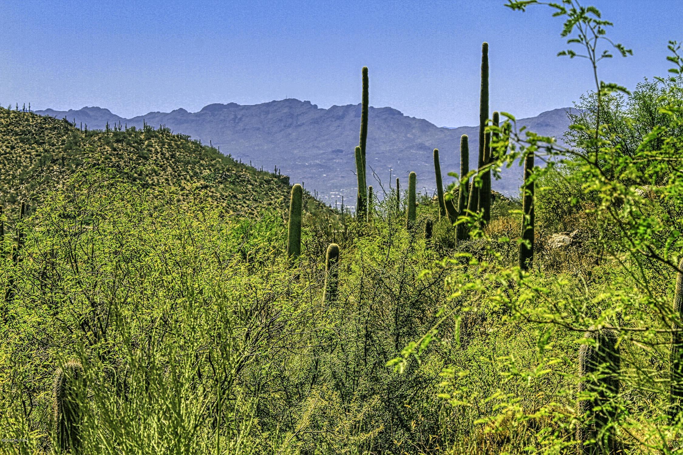 Canyon Pass II At Dove Mountain (49-110) - Land