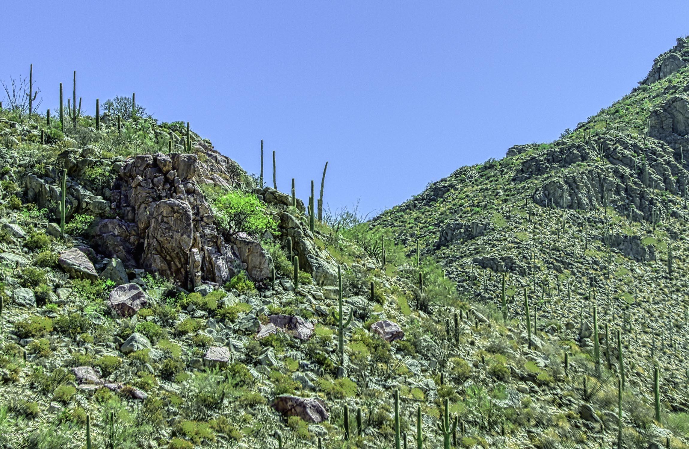 Canyon Pass II At Dove Mountain (49-110) - Land