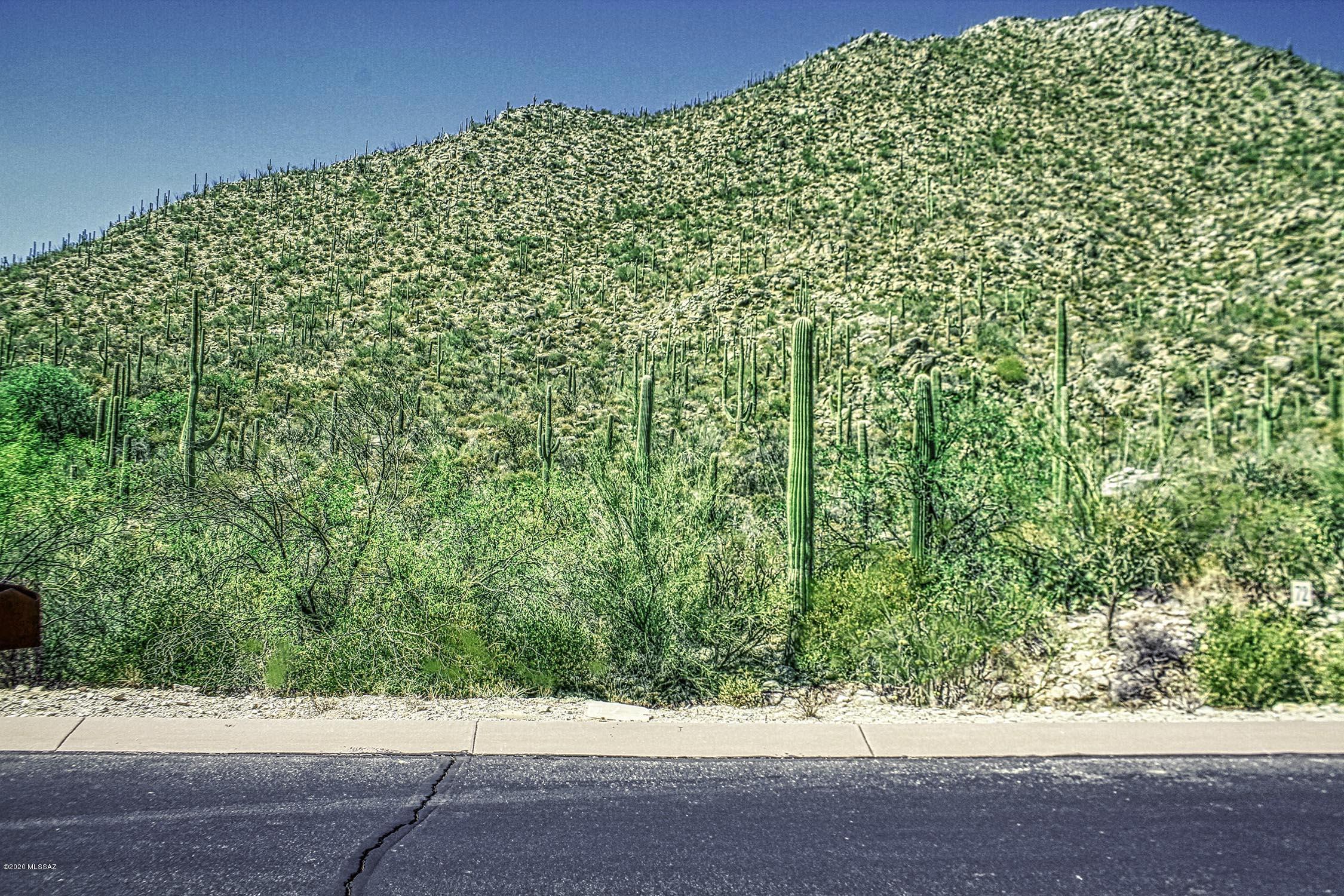 Canyon Pass II At Dove Mountain (49-110) - Land