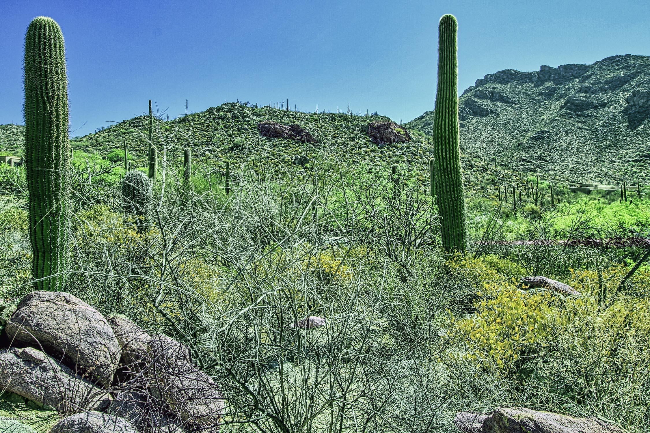 Canyon Pass II At Dove Mountain (49-110) - Land