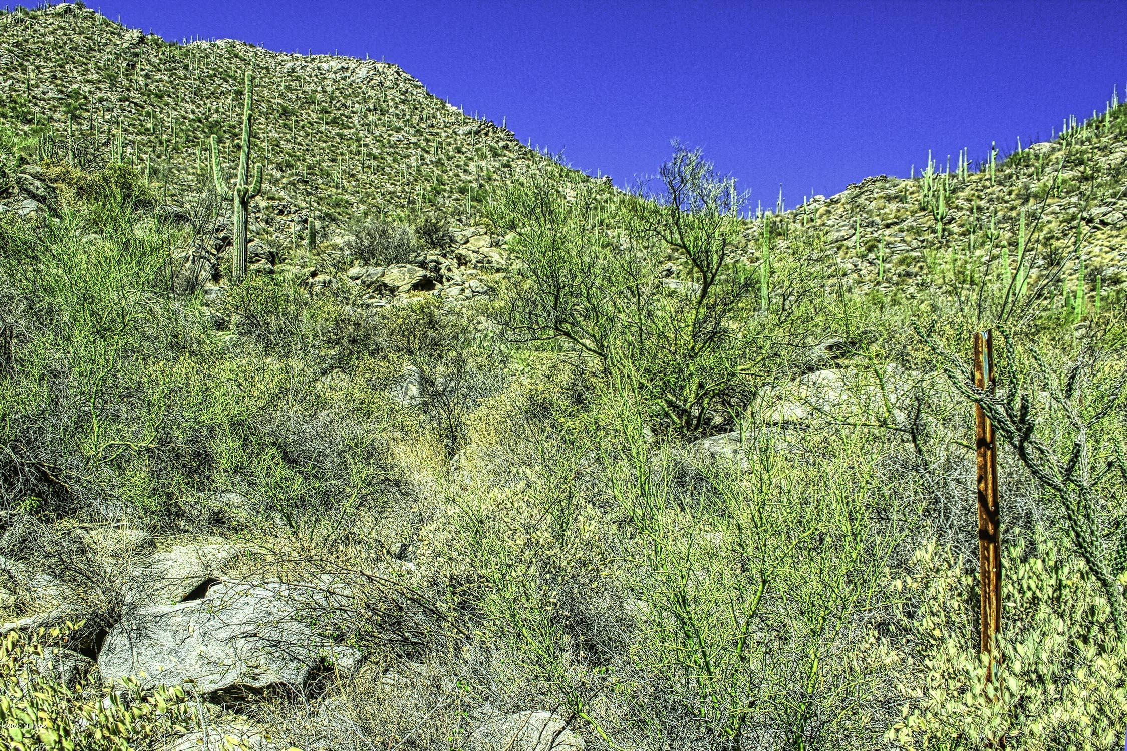 Canyon Pass II At Dove Mountain (49-110) - Land