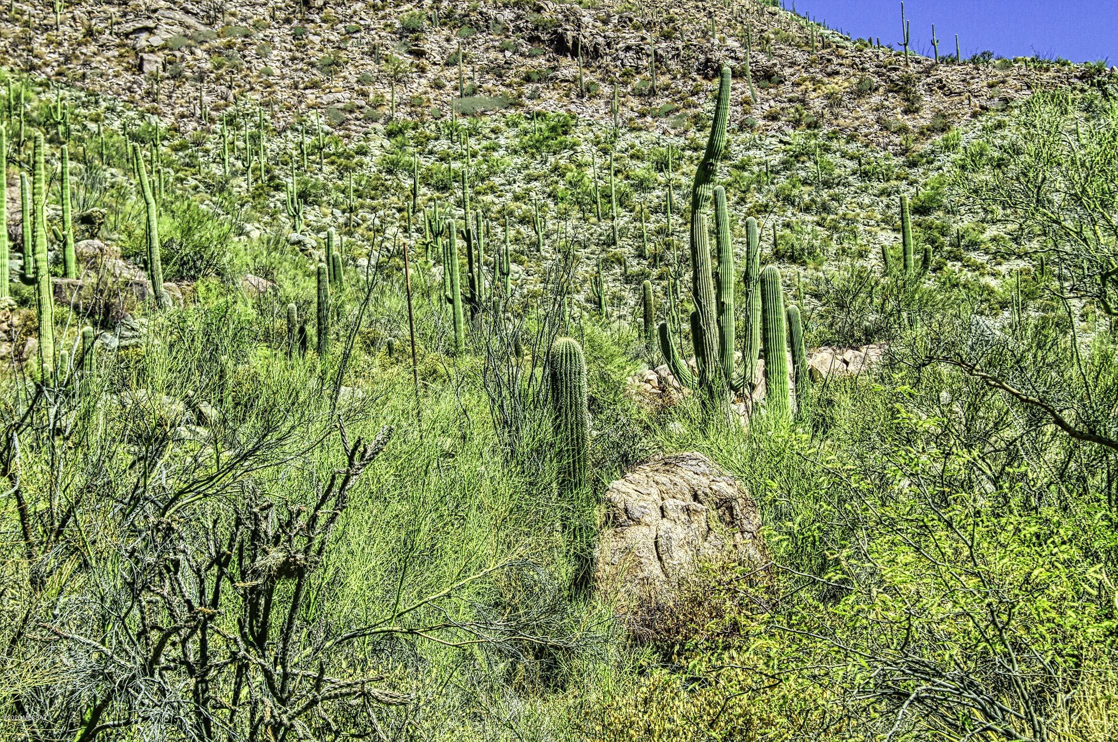 Canyon Pass II At Dove Mountain (49-110) - Land