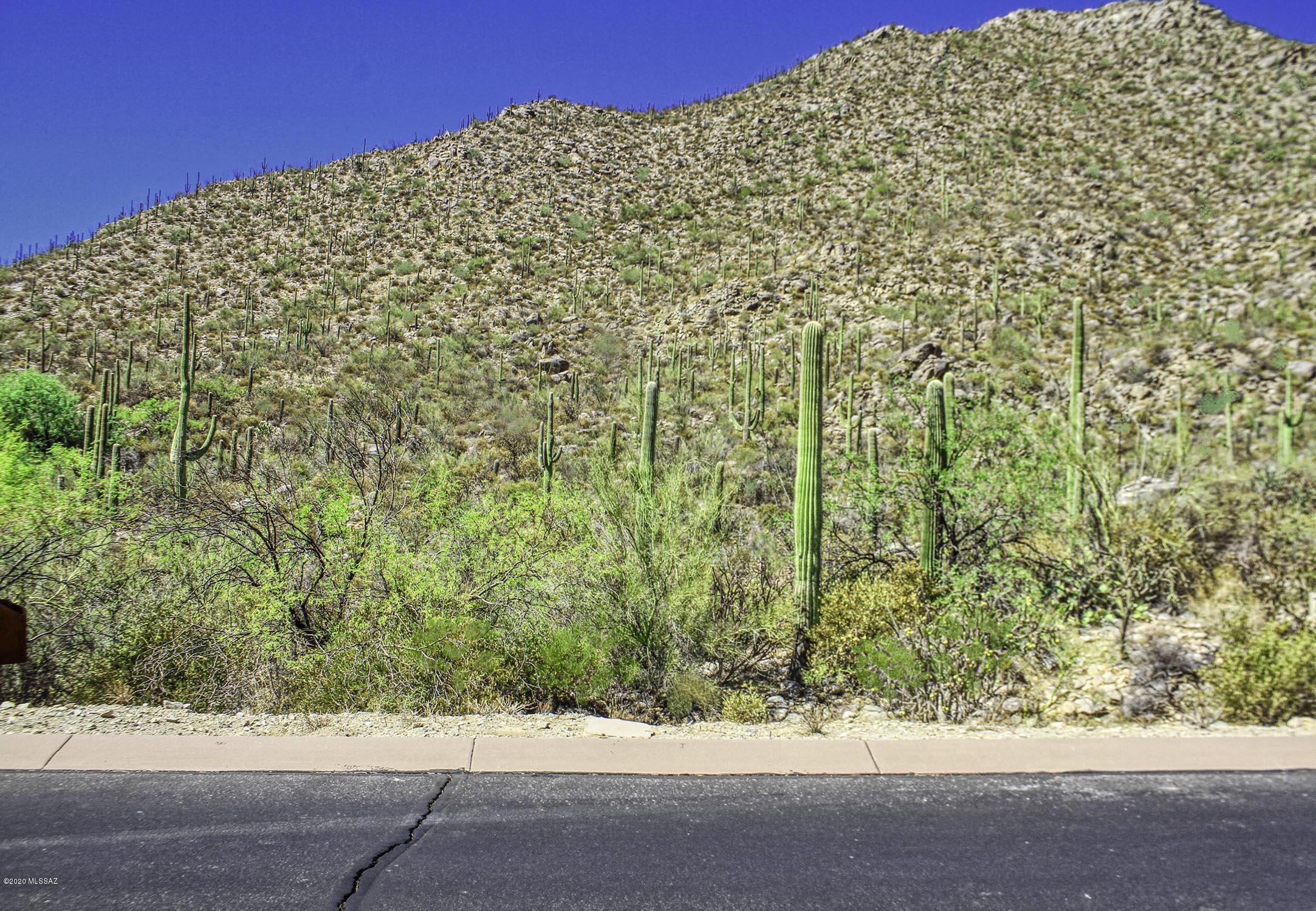 Canyon Pass II At Dove Mountain (49-110) - Land