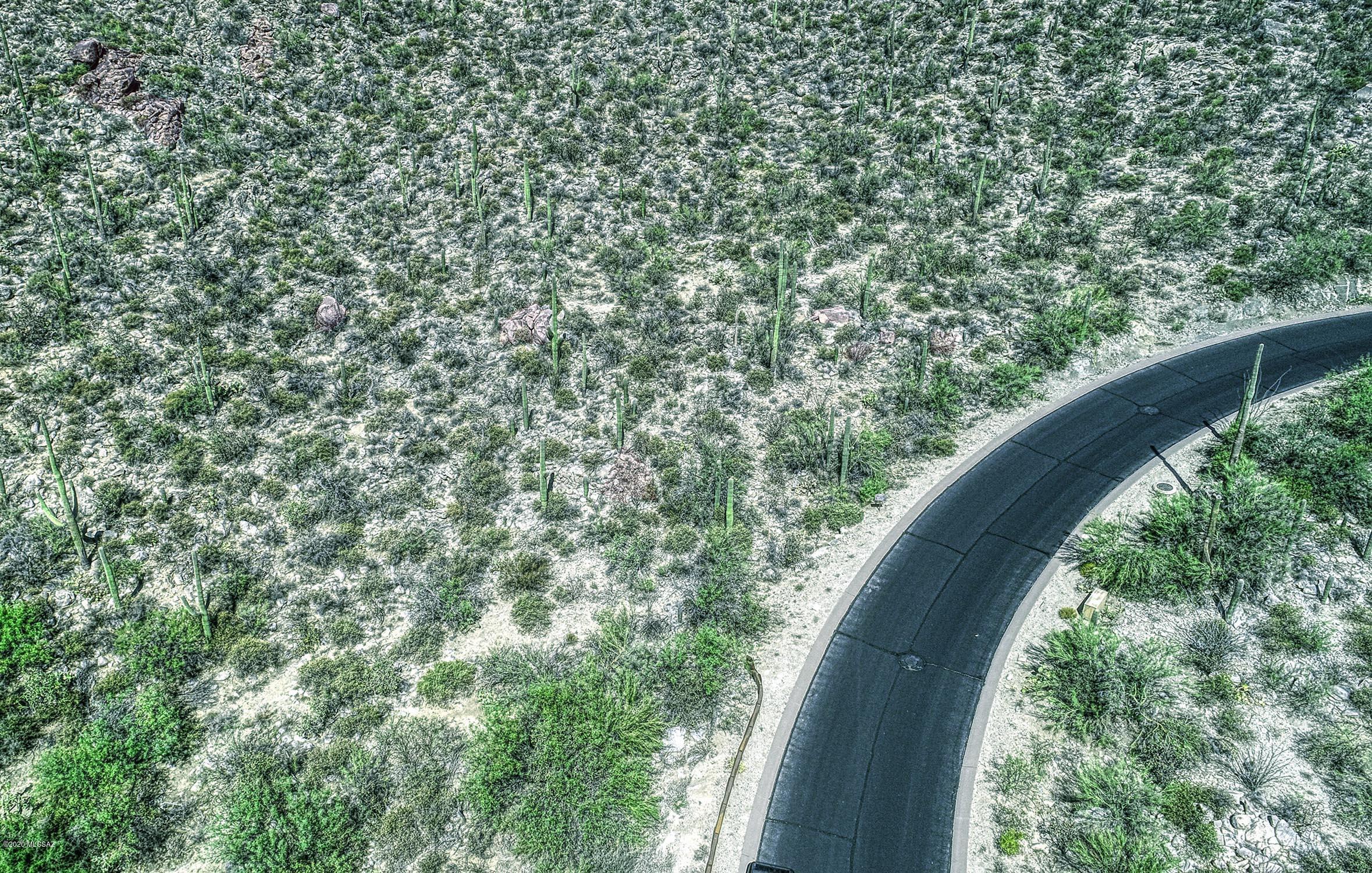 Canyon Pass II At Dove Mountain (49-110) - Land