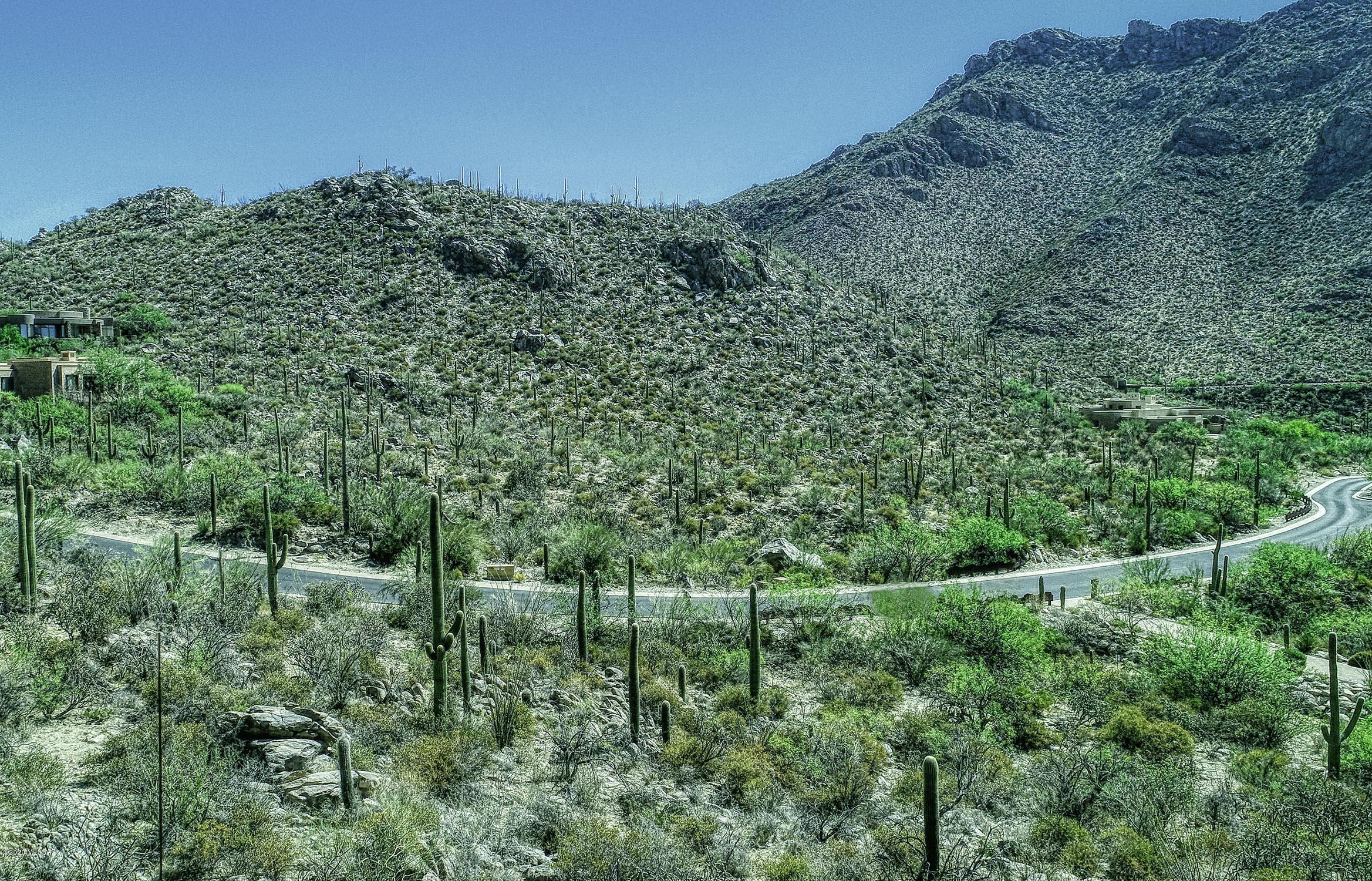 Canyon Pass II At Dove Mountain (49-110) - Land