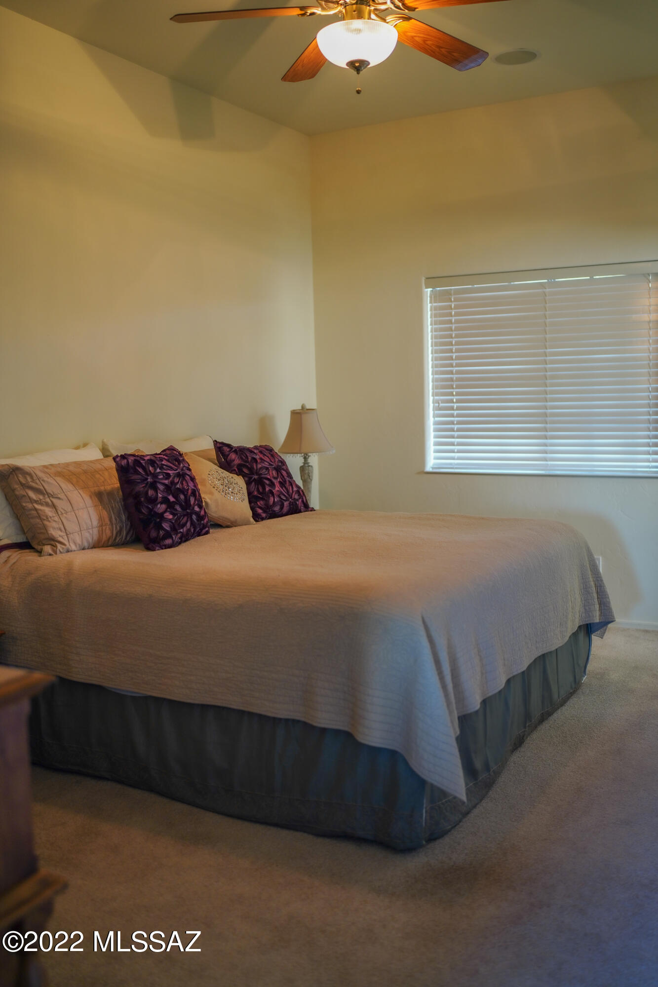 Rancho Buena Vista (1-29) - Residential