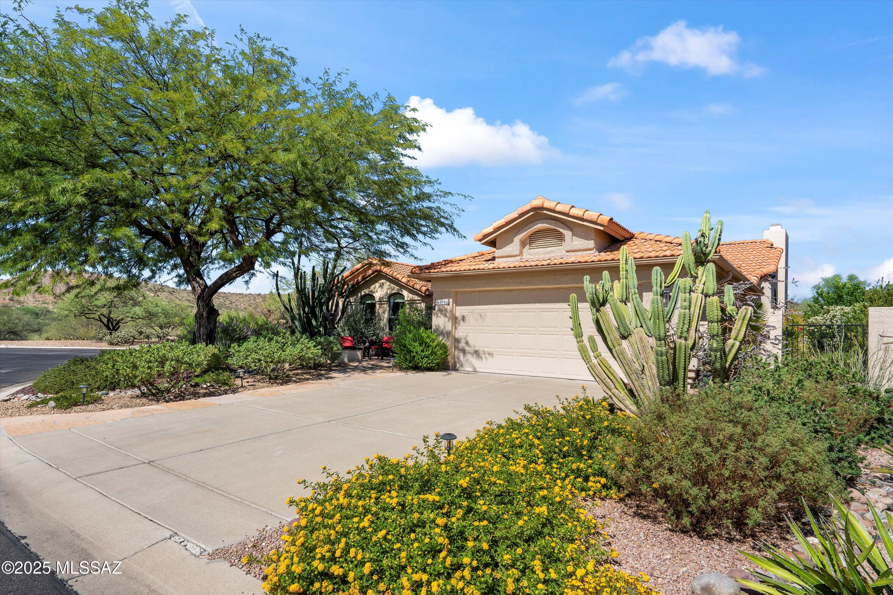 Saddlebrooke - Residential