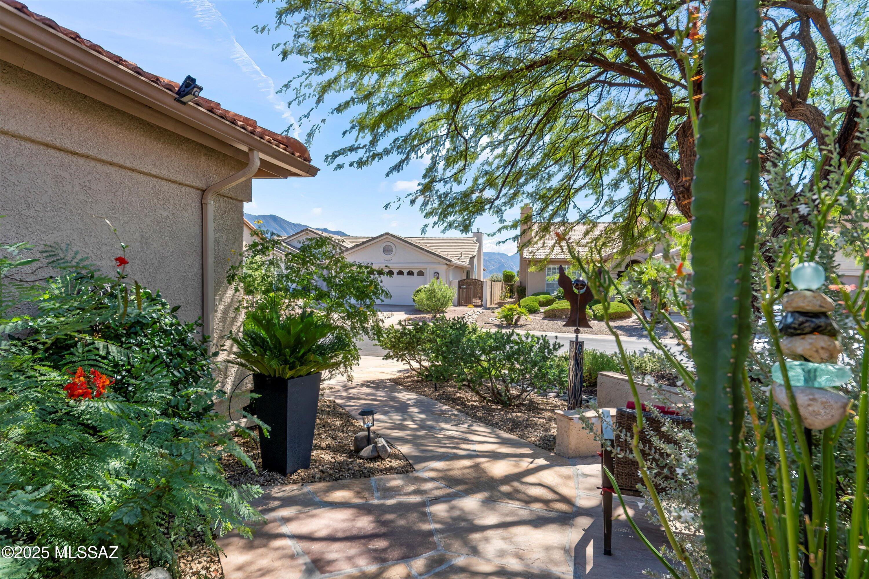 Saddlebrooke - Residential