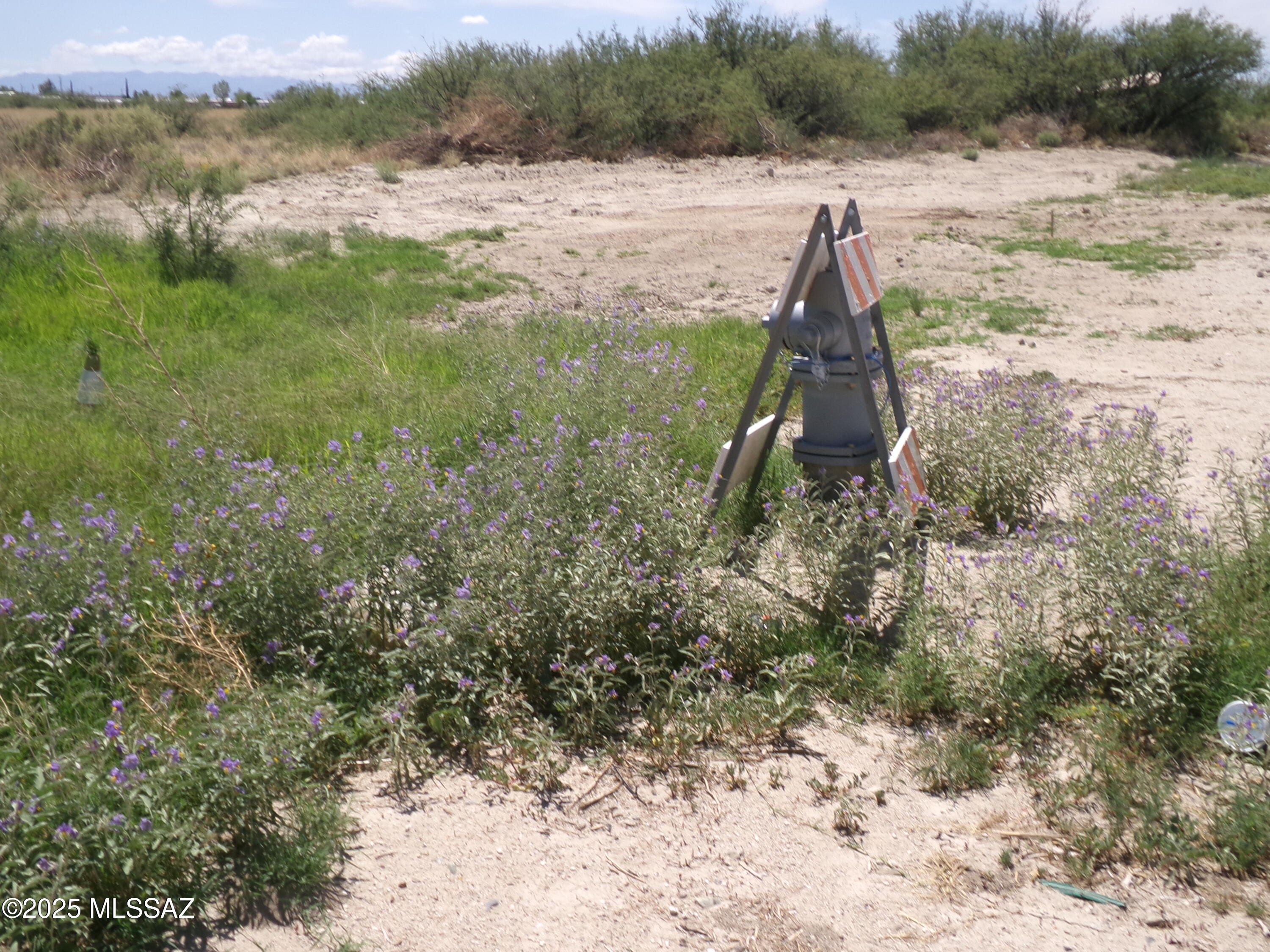 Out Of Pima County - Land