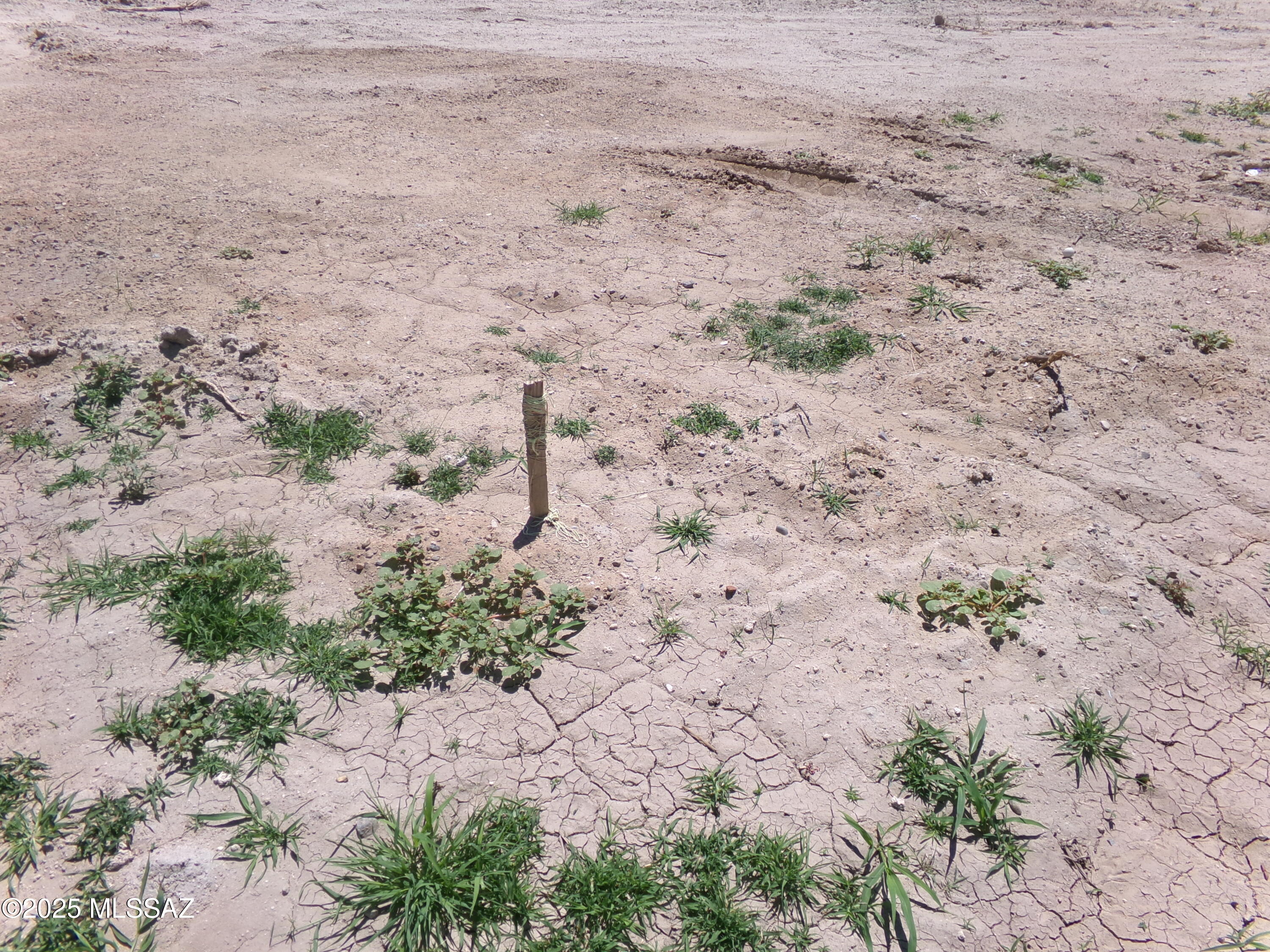 Out Of Pima County - Land