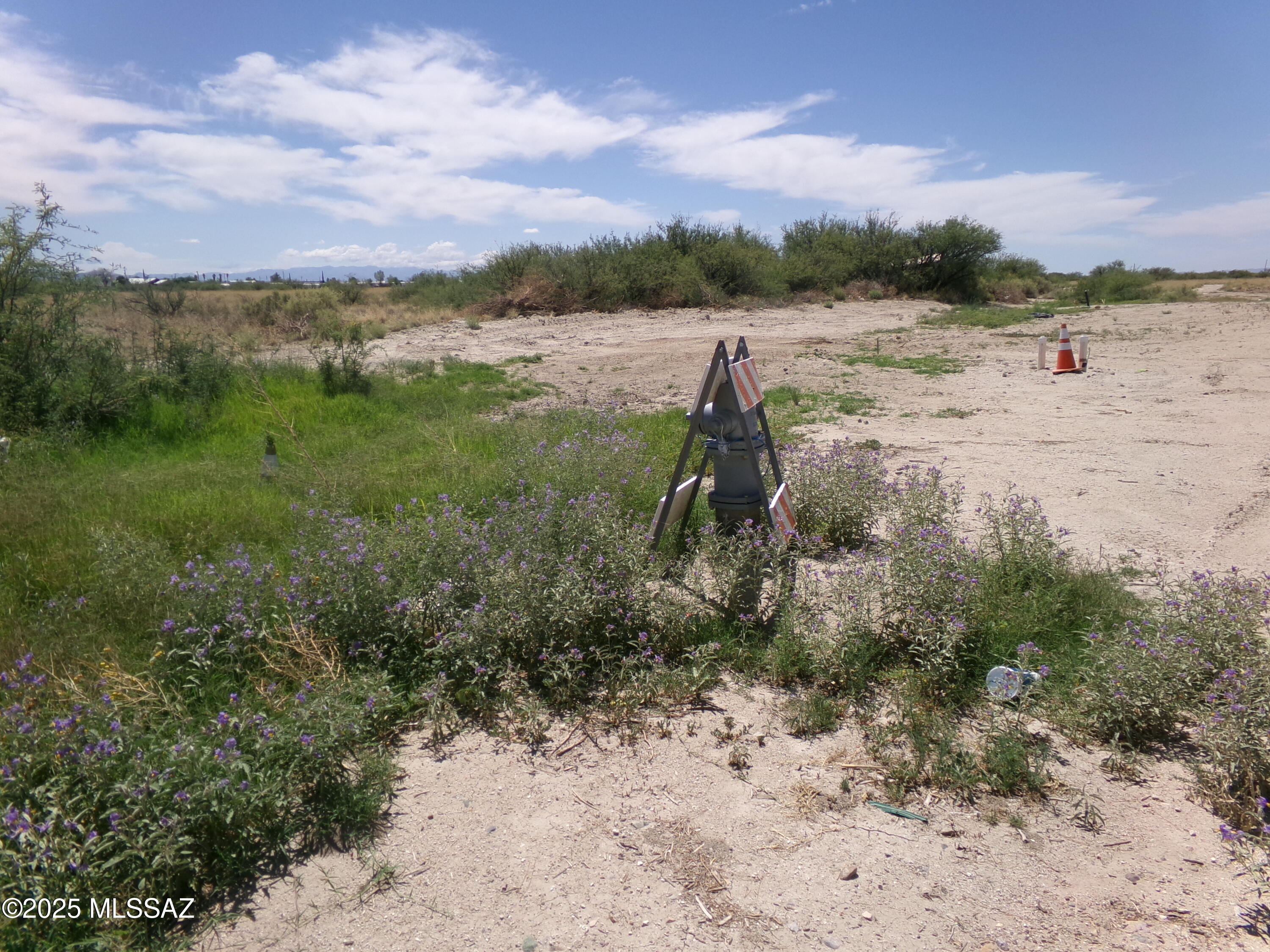Out Of Pima County - Land
