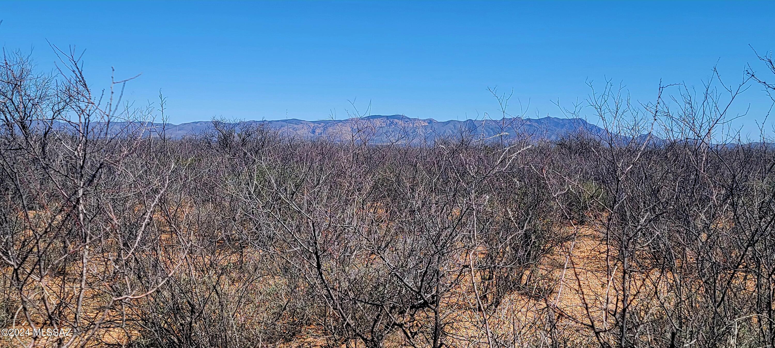 Out Of Pima County - Land