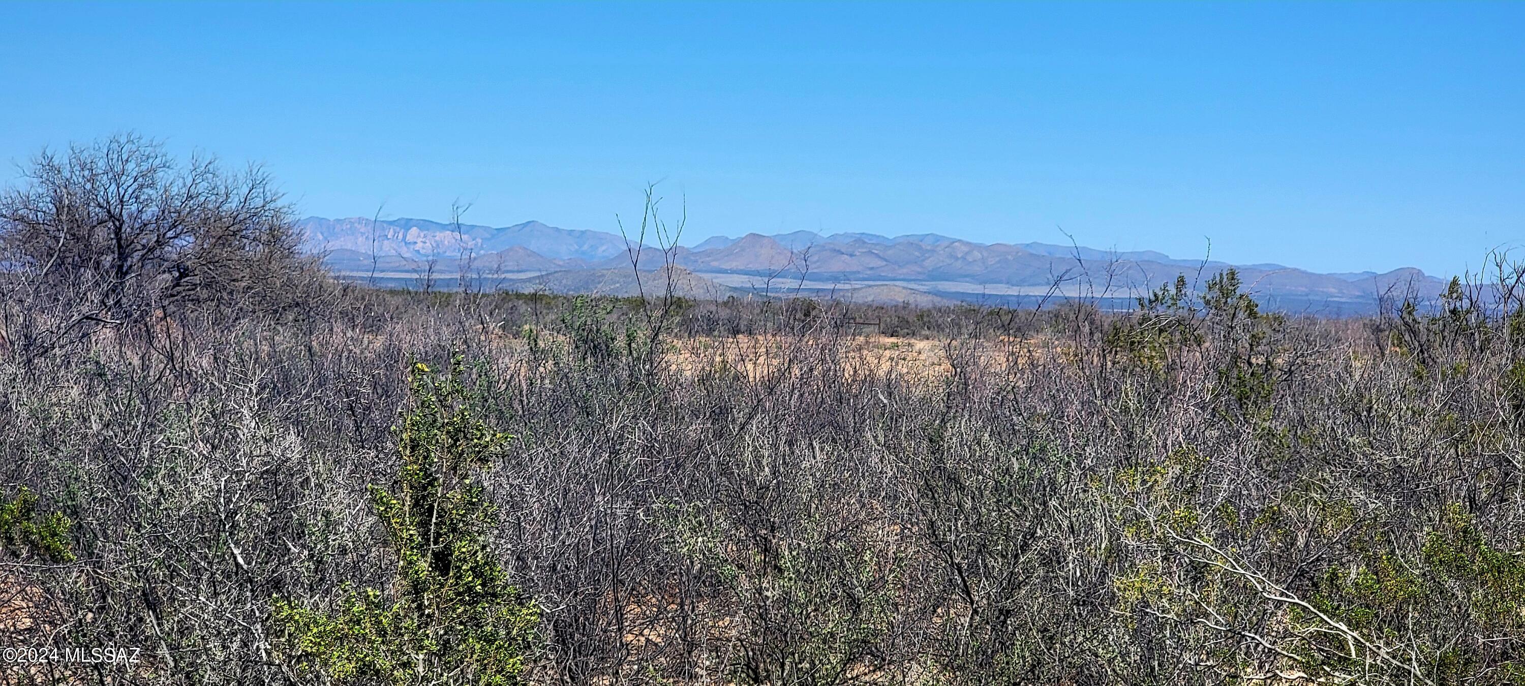 Out Of Pima County - Land