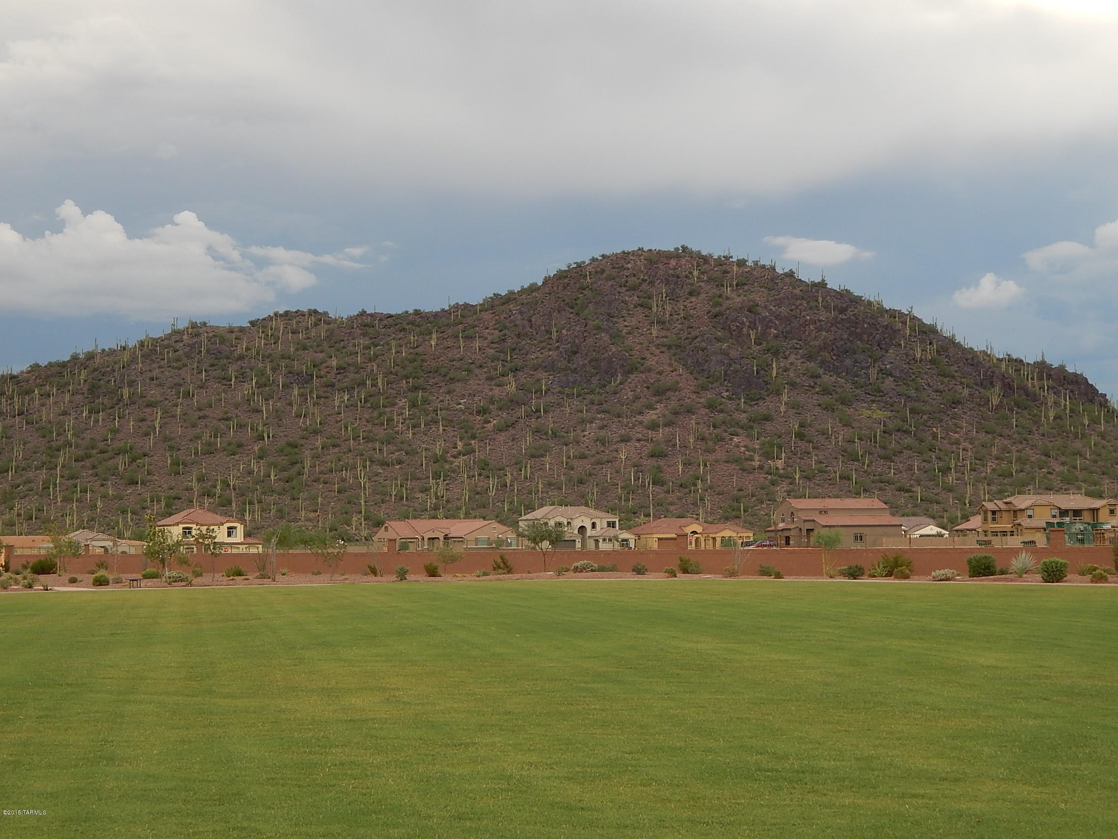 Saguaro Springs Block 4 (400-611) - Residential