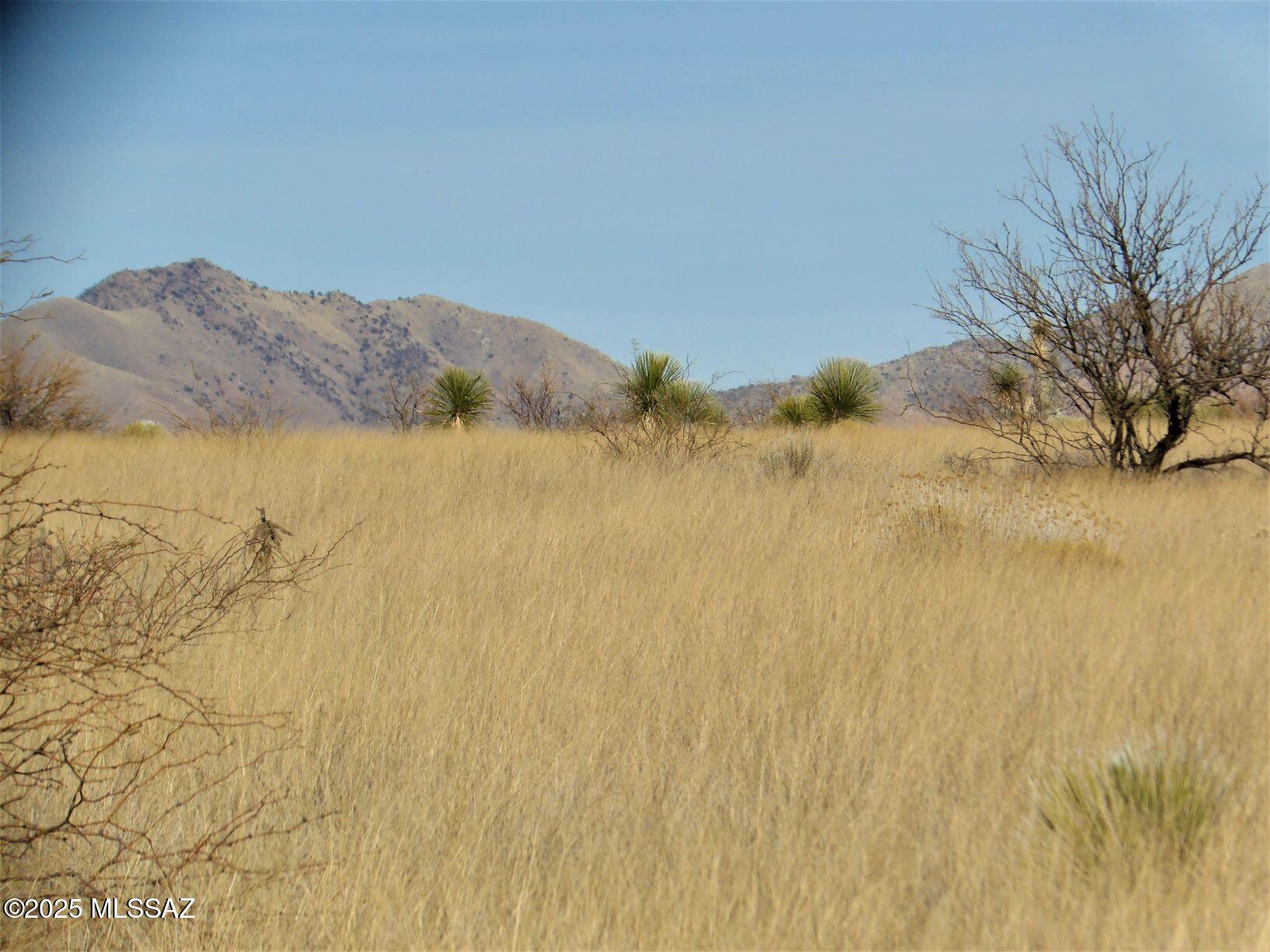 Dragoon Mountain Ranch - Land