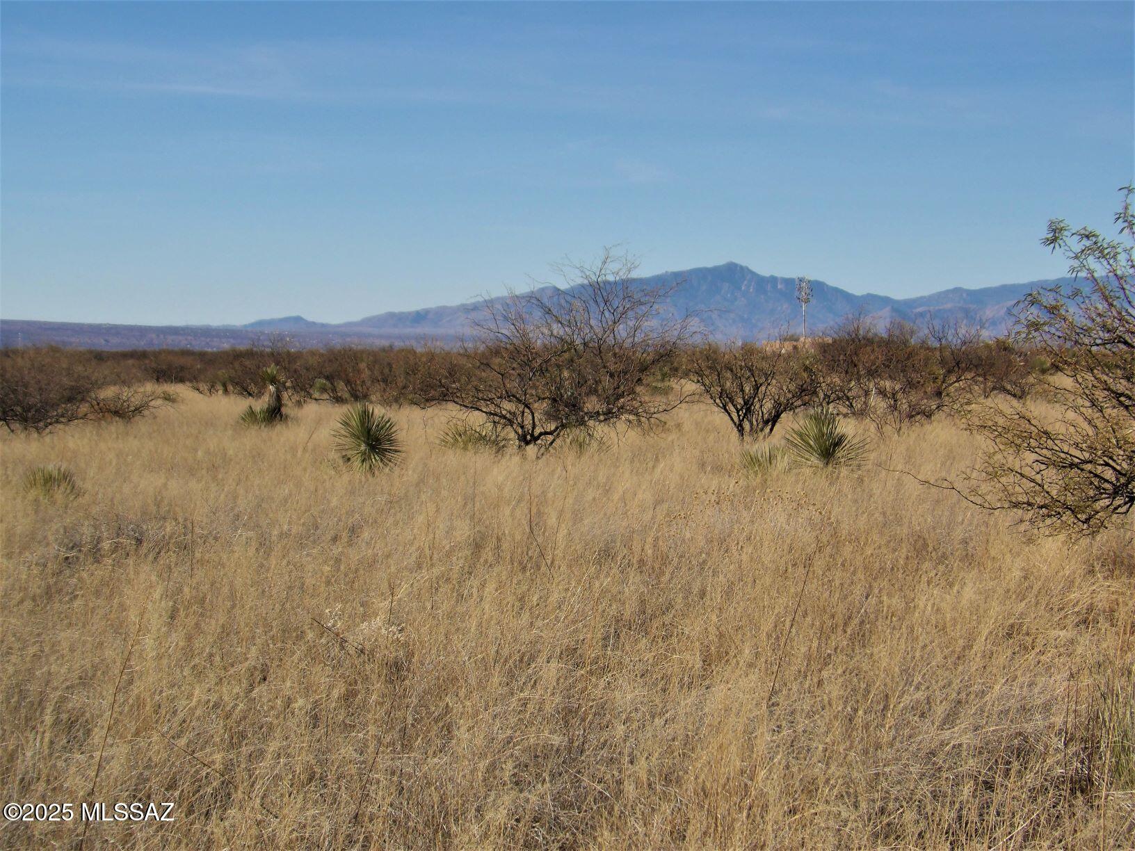 Dragoon Mountain Ranch - Land